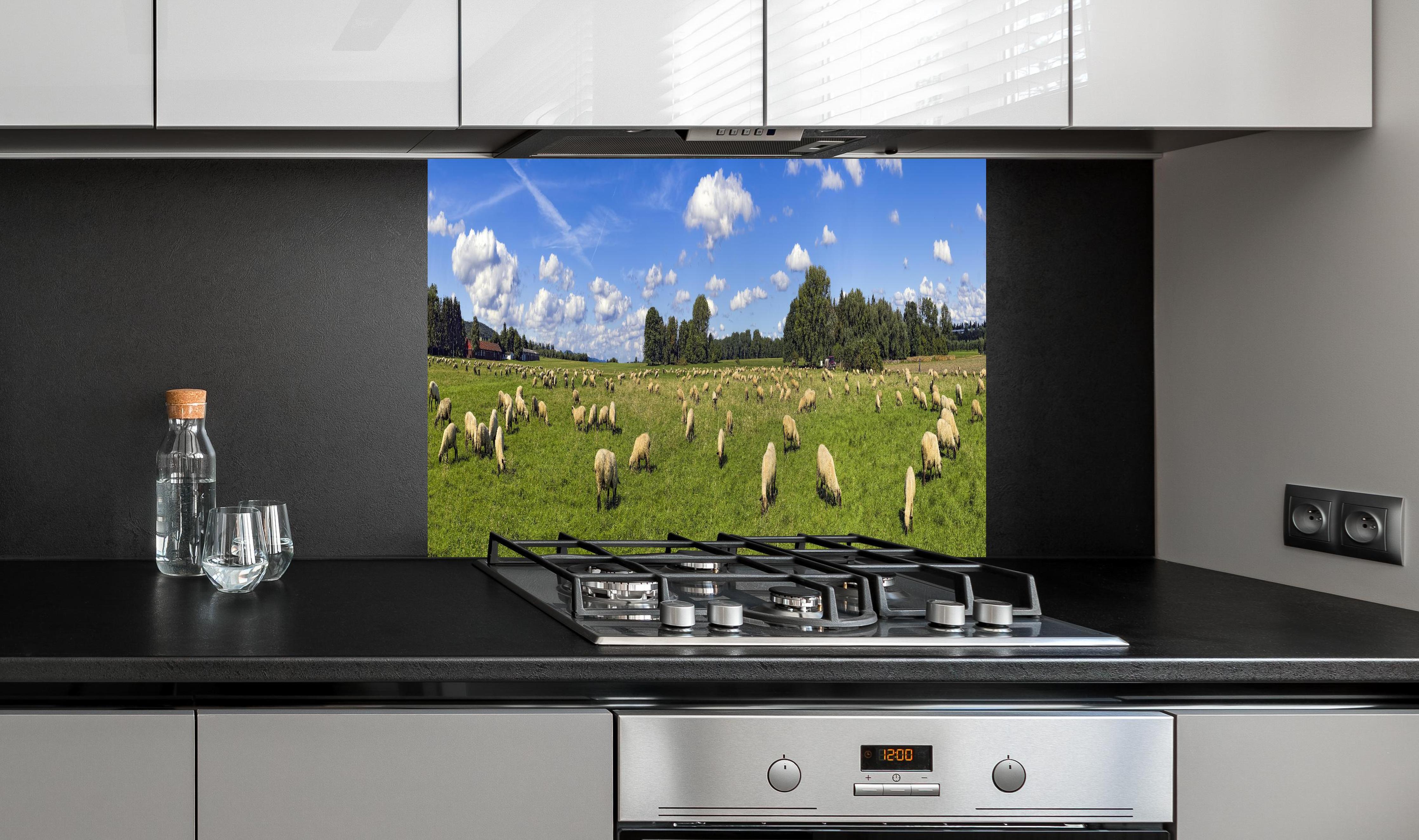 Spritzschutz - Schafherde Panorama hinter einem Cerankochfeld zwischen Holz-Kochutensilien