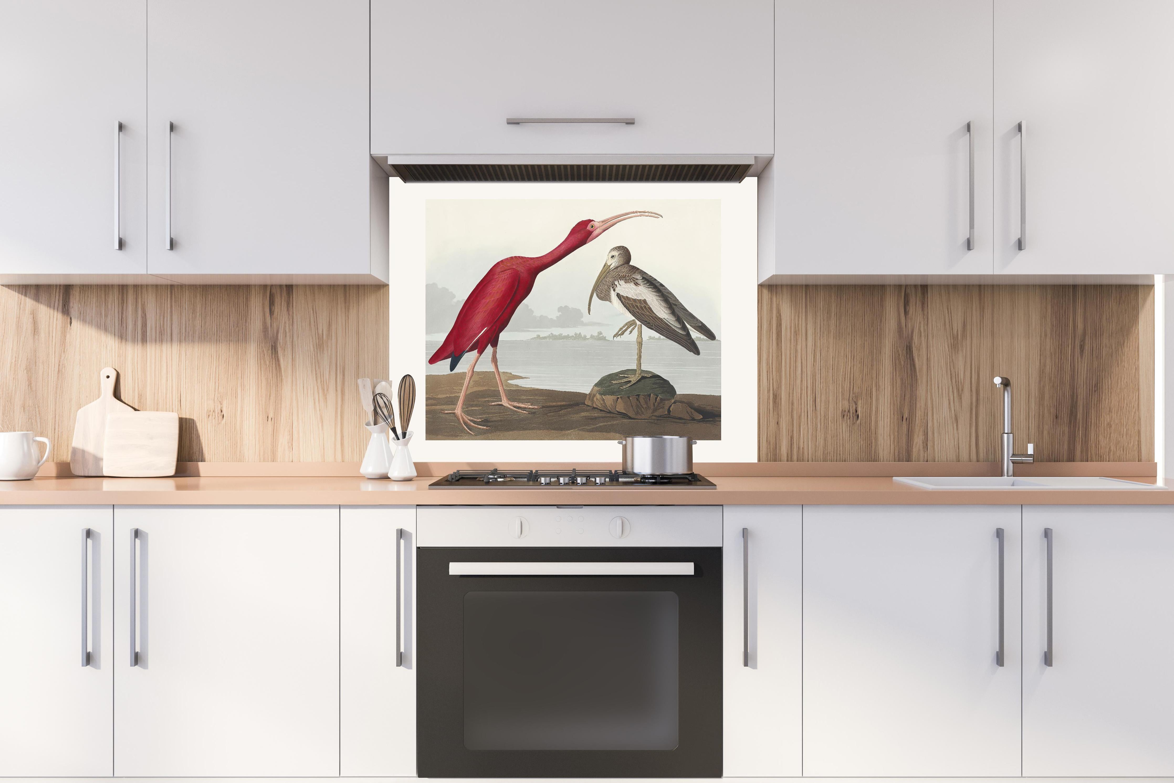 Spritzschutz - Scharlachsichler Portrait - John James Audubon hinter einem Cerankochfeld zwischen Holz-Kochutensilien