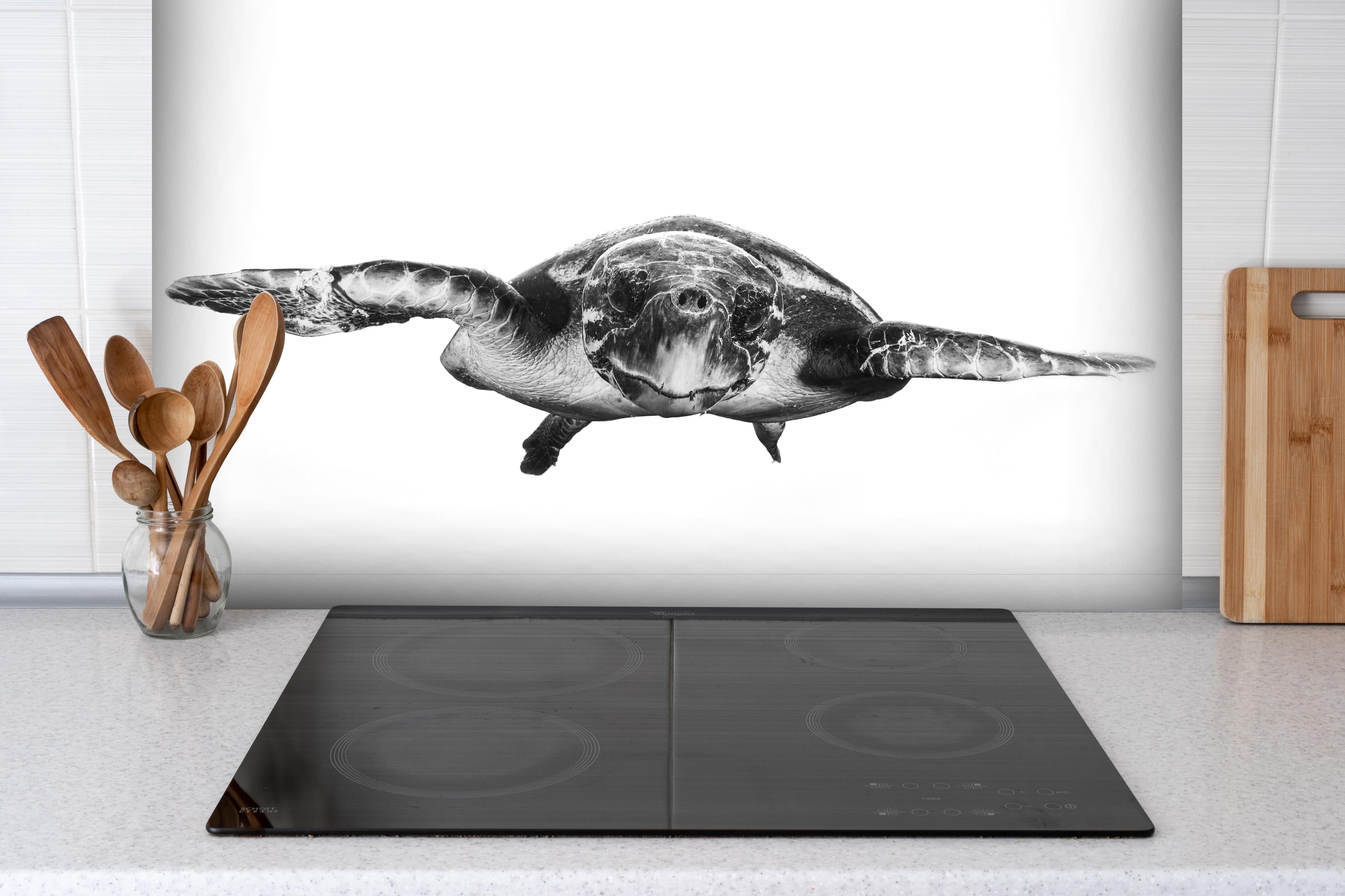 Spritzschutz - Schildkröte hinter einem Cerankochfeld zwischen Holz-Kochutensilien