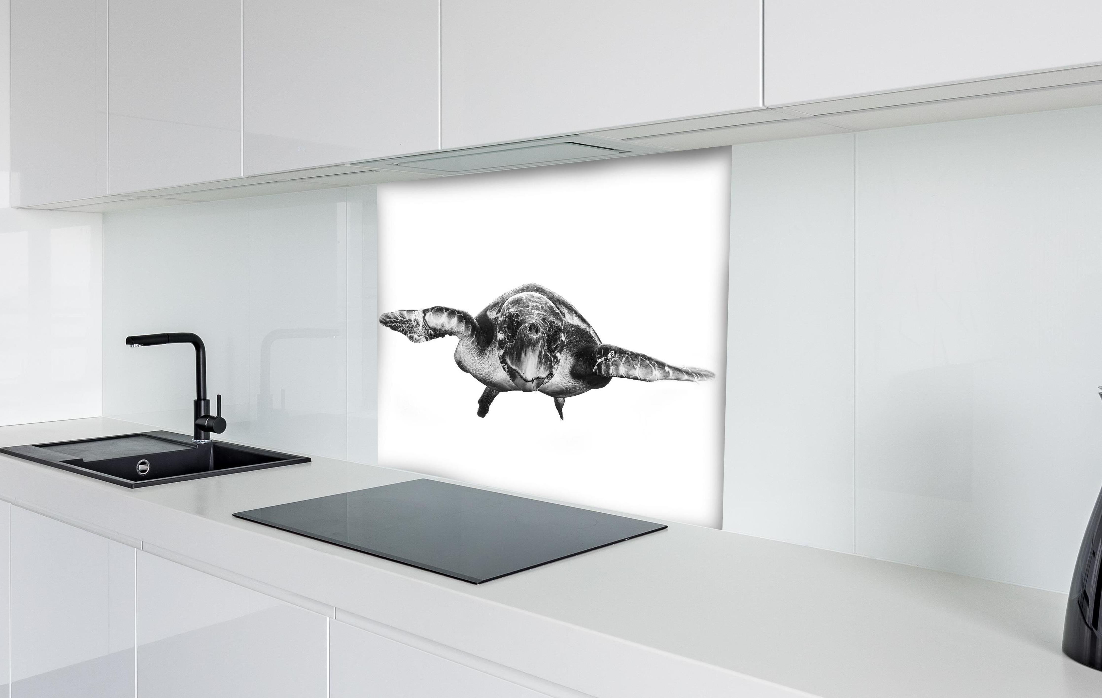 Spritzschutz - Schildkröte hinter einem Cerankochfeld zwischen Holz-Kochutensilien