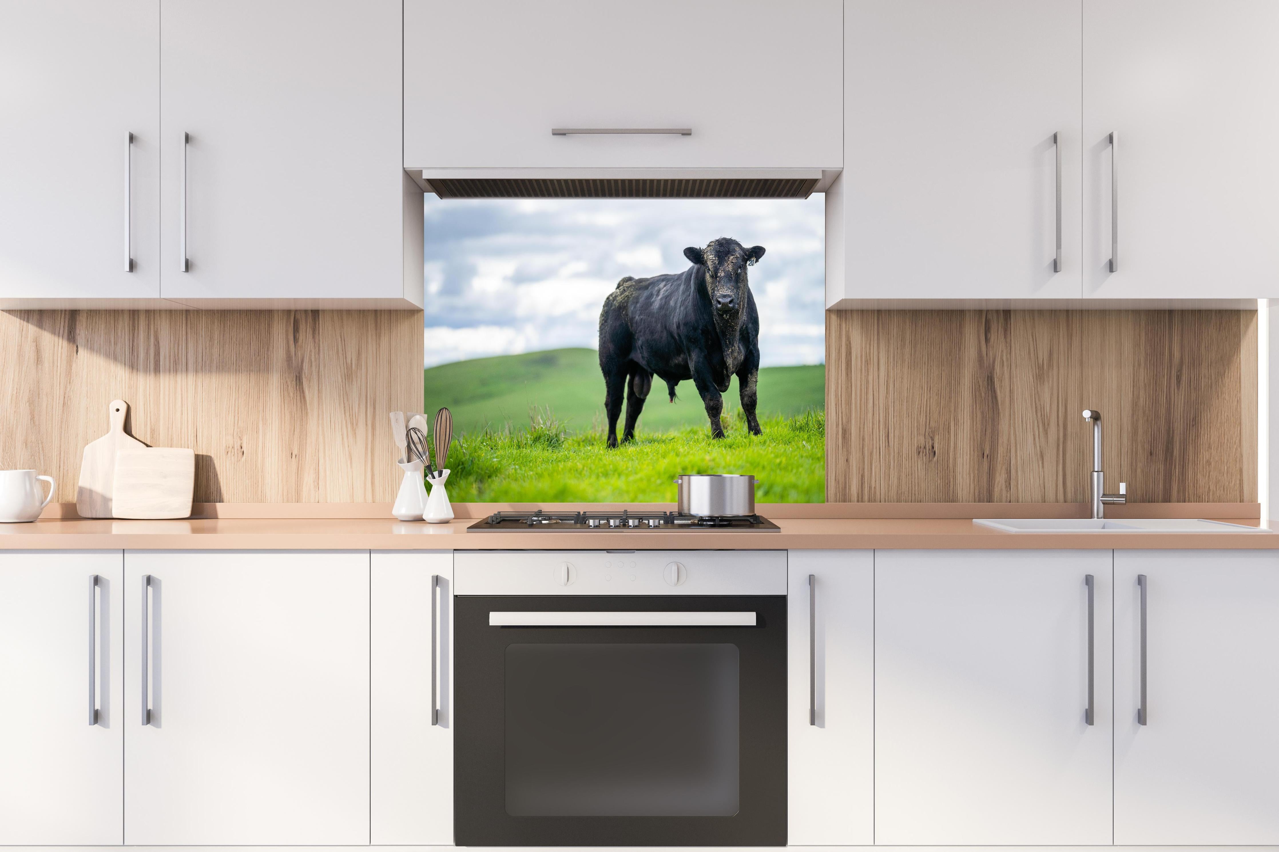 Spritzschutz - Schmutziger Aberdeen Angus hinter einem Cerankochfeld zwischen Holz-Kochutensilien