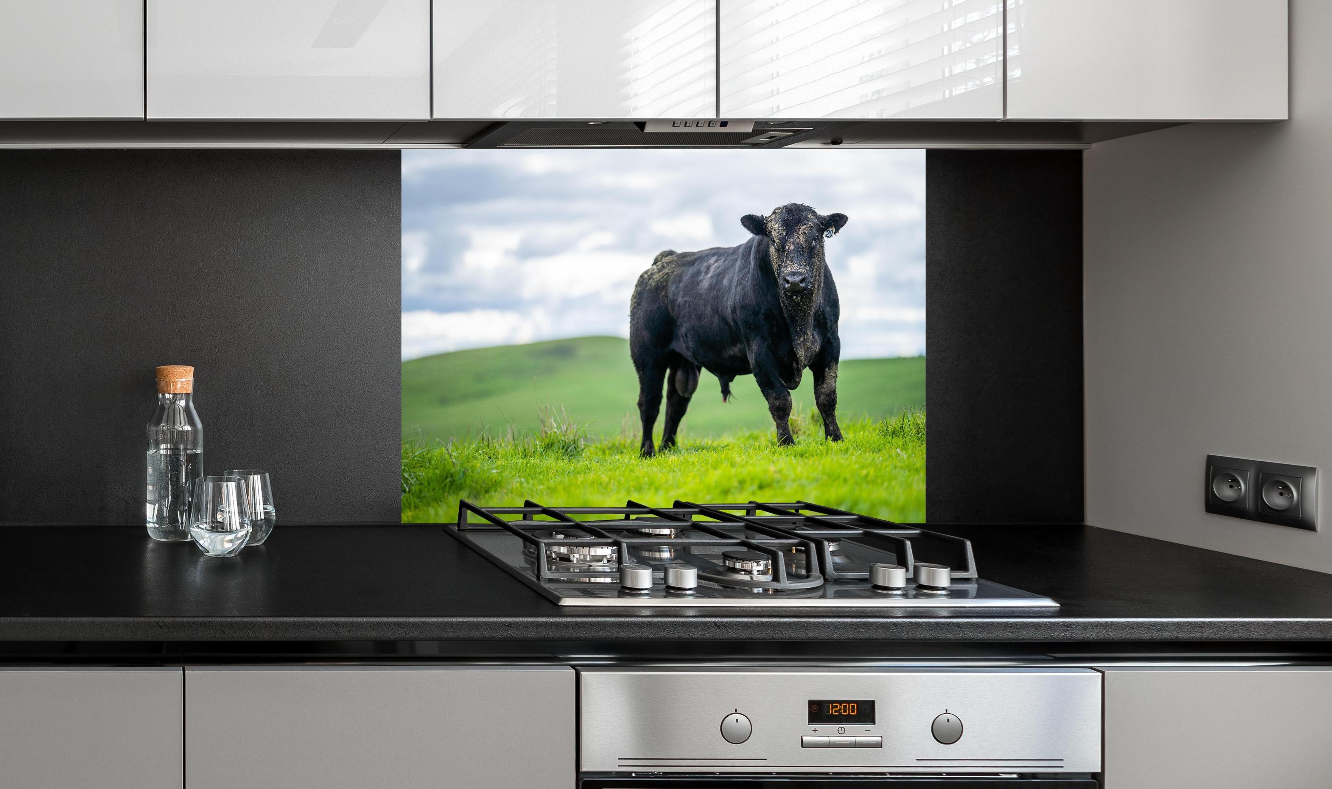 Spritzschutz - Schmutziger Aberdeen Angus hinter einem Cerankochfeld zwischen Holz-Kochutensilien