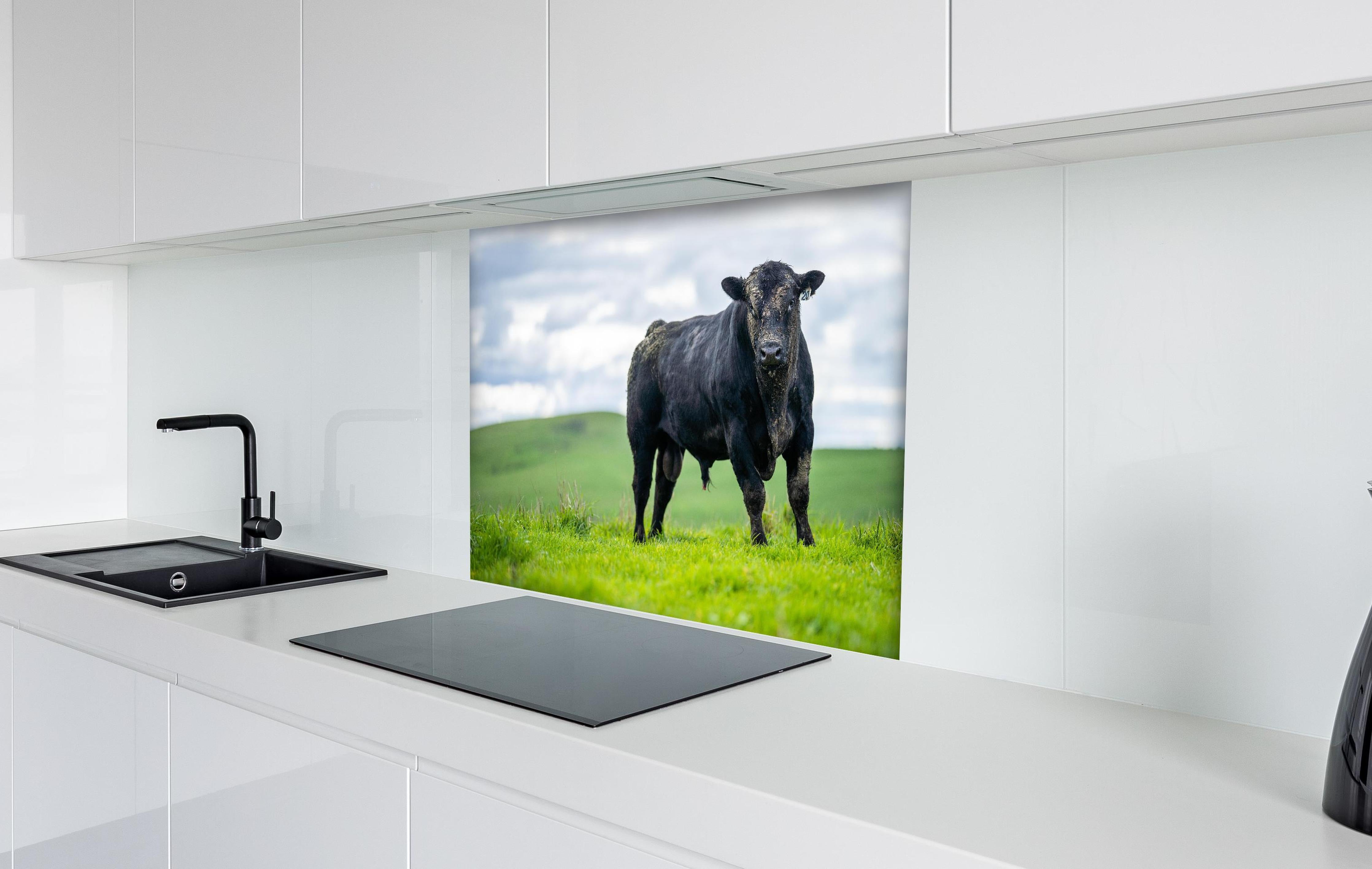 Spritzschutz - Schmutziger Aberdeen Angus hinter einem Cerankochfeld zwischen Holz-Kochutensilien