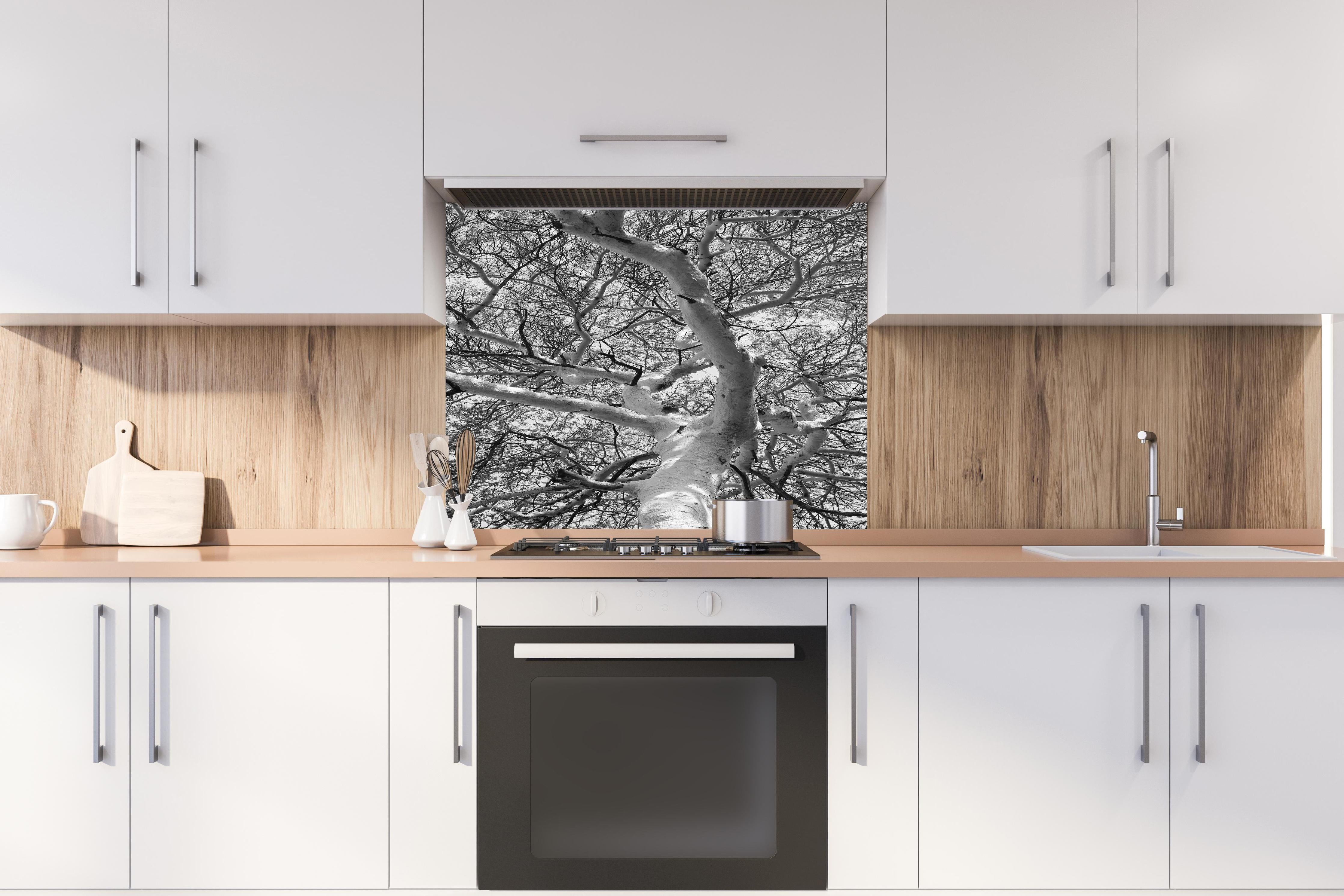 Spritzschutz - Schneeüberdeckte Baumkrone hinter einem Cerankochfeld zwischen Holz-Kochutensilien