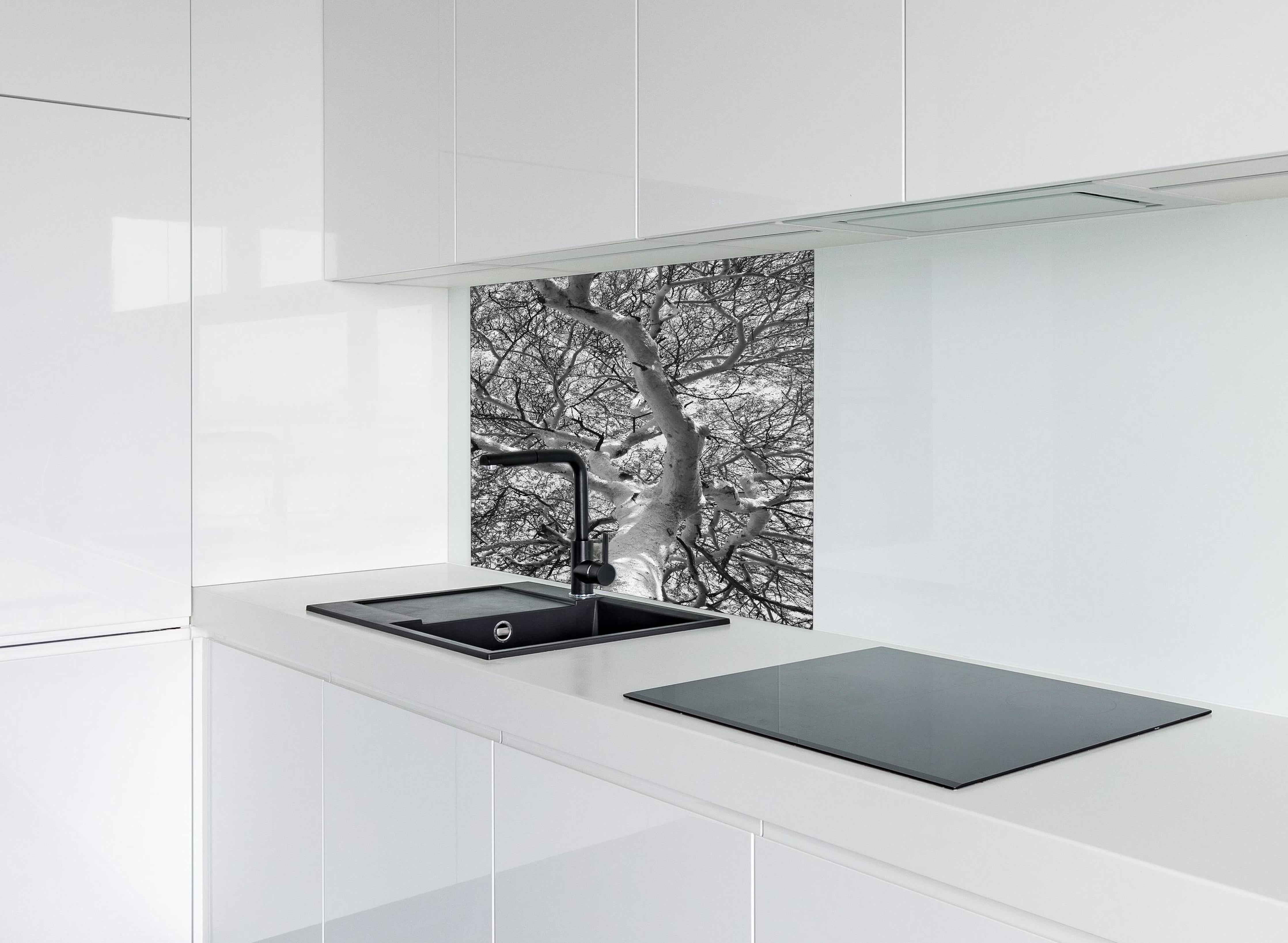 Spritzschutz - Schneeüberdeckte Baumkrone hinter einem Cerankochfeld zwischen Holz-Kochutensilien