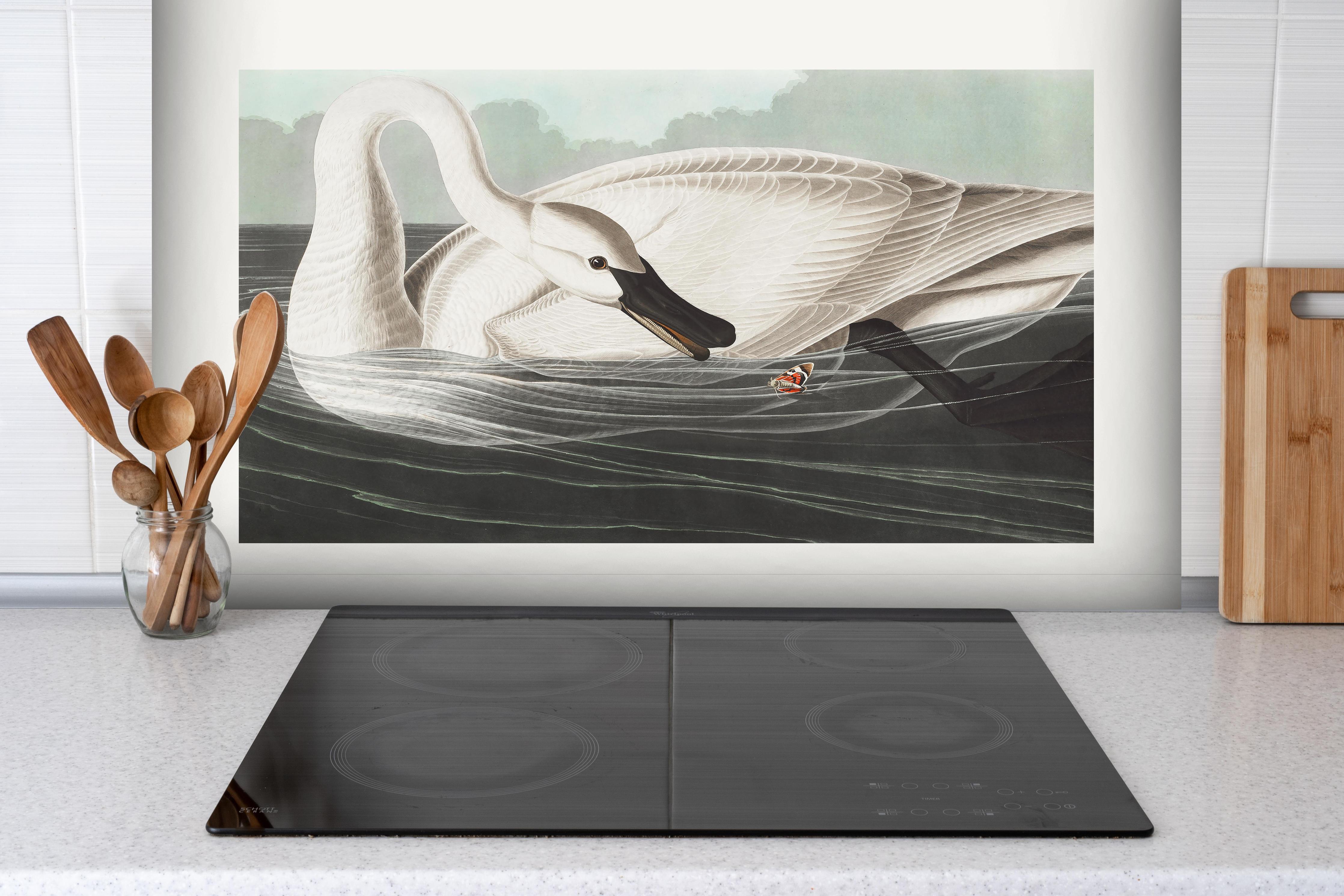 Spritzschutz - Schneeweißer Schwan - John James Audubon hinter einem Cerankochfeld zwischen Holz-Kochutensilien