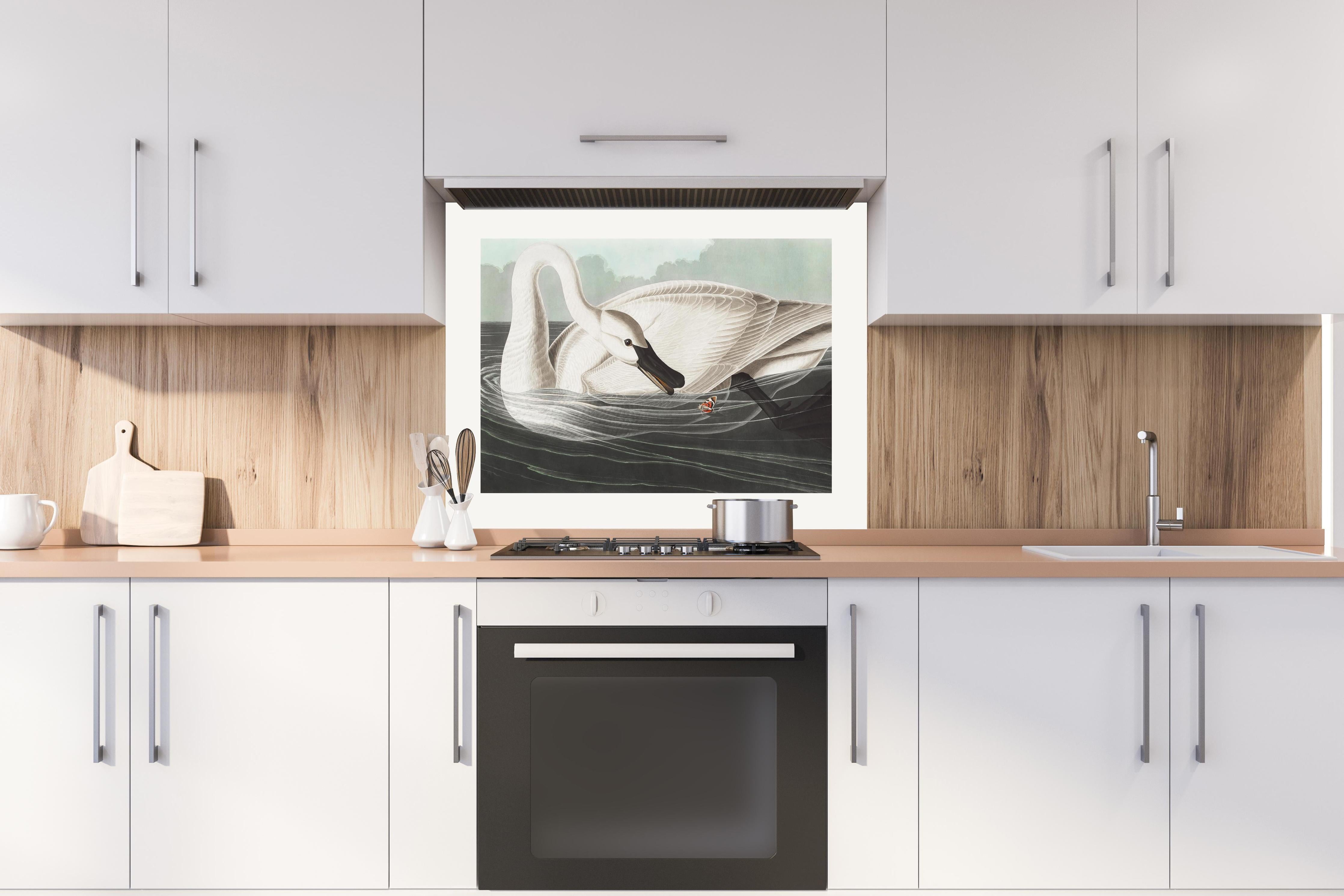 Spritzschutz - Schneeweißer Schwan - John James Audubon hinter einem Cerankochfeld zwischen Holz-Kochutensilien