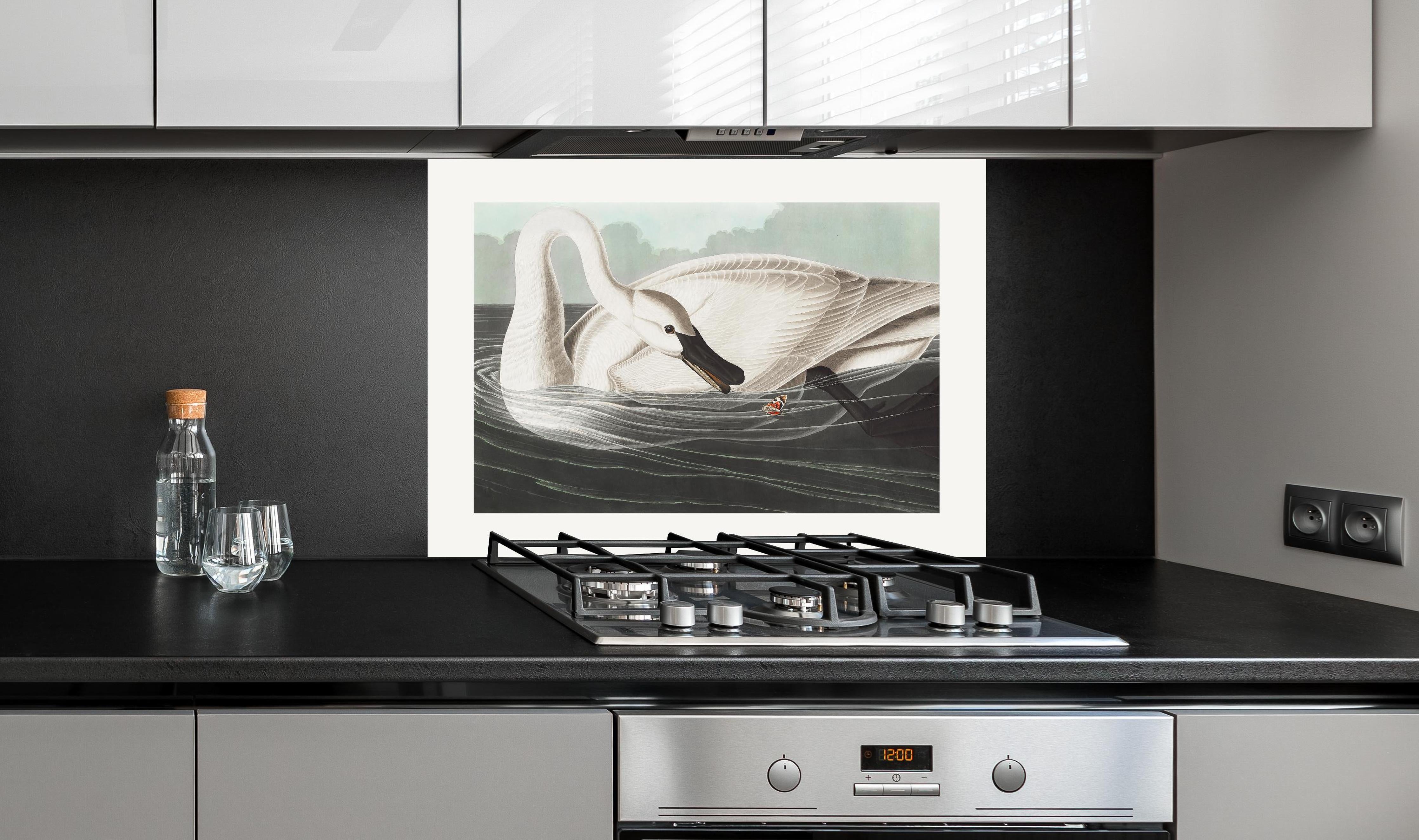 Spritzschutz - Schneeweißer Schwan - John James Audubon hinter einem Cerankochfeld zwischen Holz-Kochutensilien