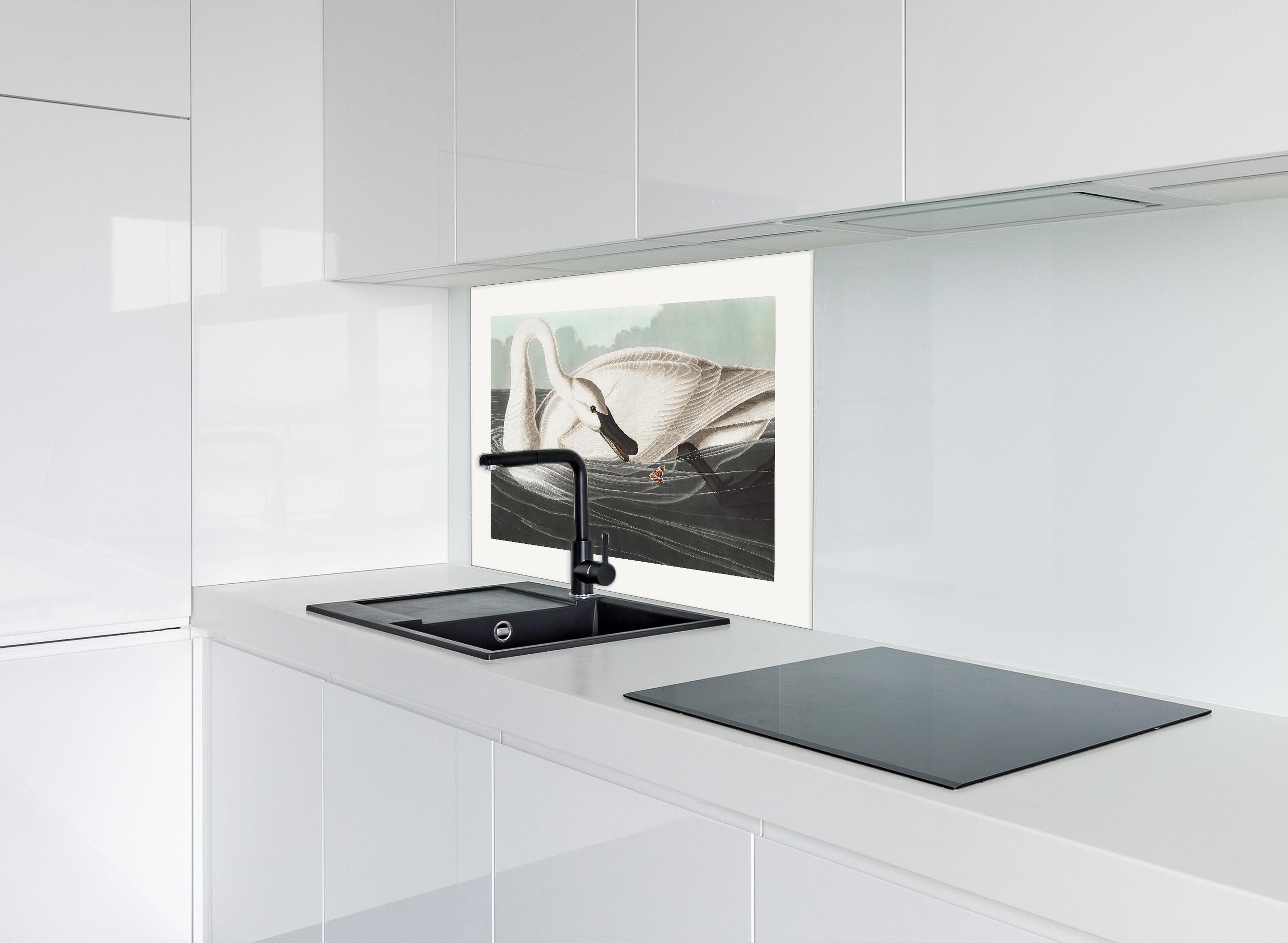 Spritzschutz - Schneeweißer Schwan - John James Audubon hinter einem Cerankochfeld zwischen Holz-Kochutensilien