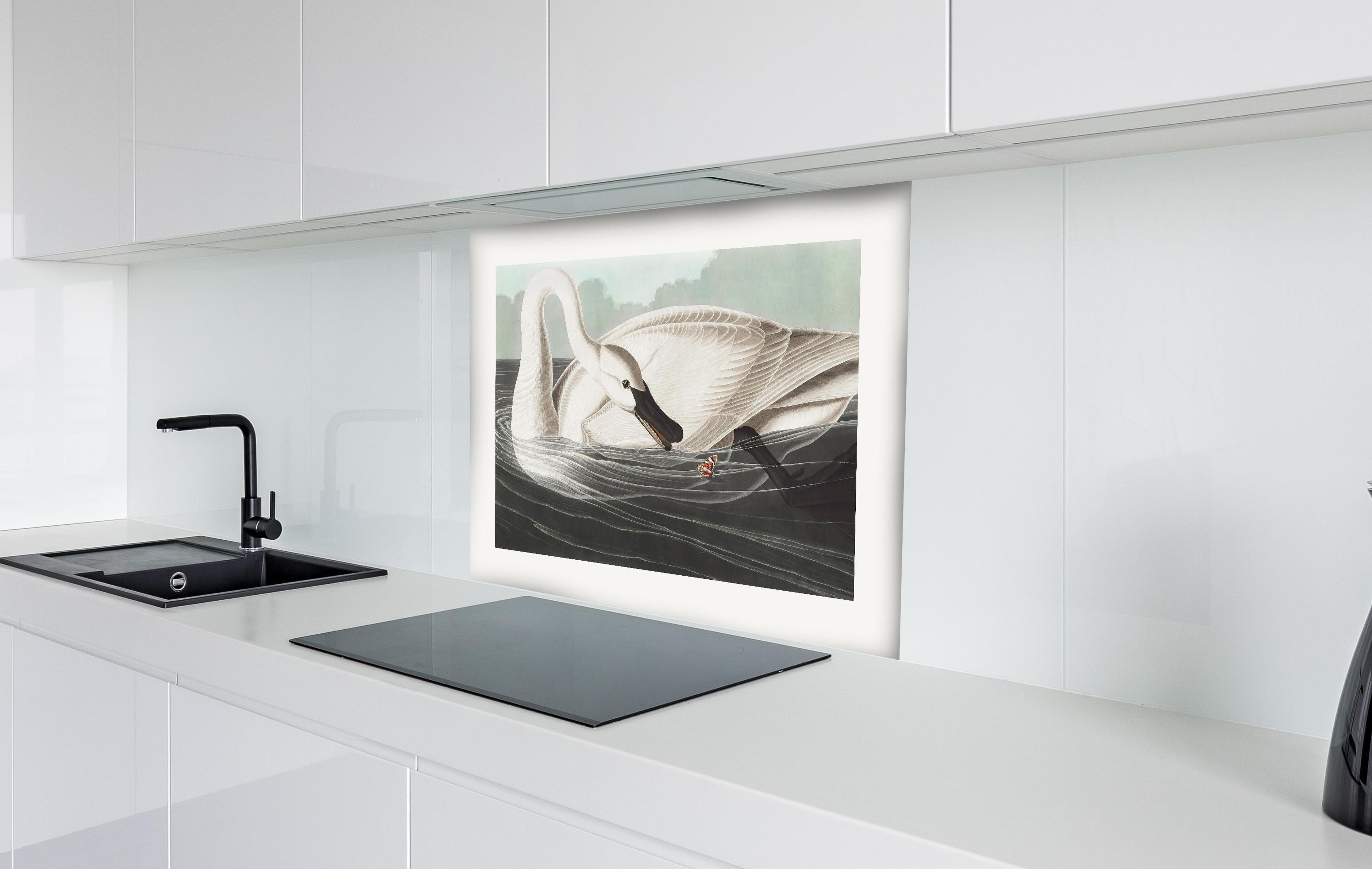 Spritzschutz - Schneeweißer Schwan - John James Audubon hinter einem Cerankochfeld zwischen Holz-Kochutensilien