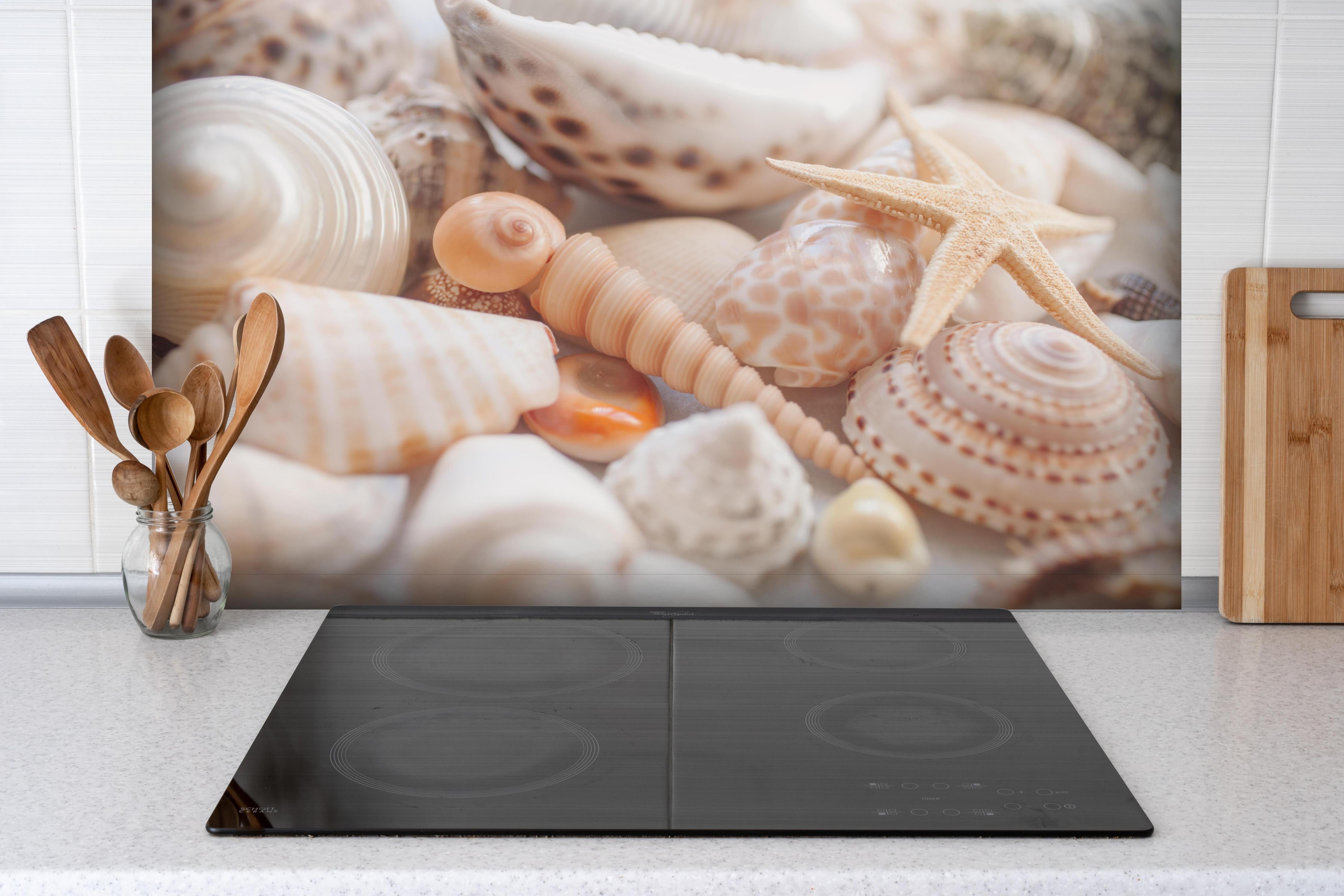 Spritzschutz - Schöne Muschelsammlung hinter einem Cerankochfeld zwischen Holz-Kochutensilien