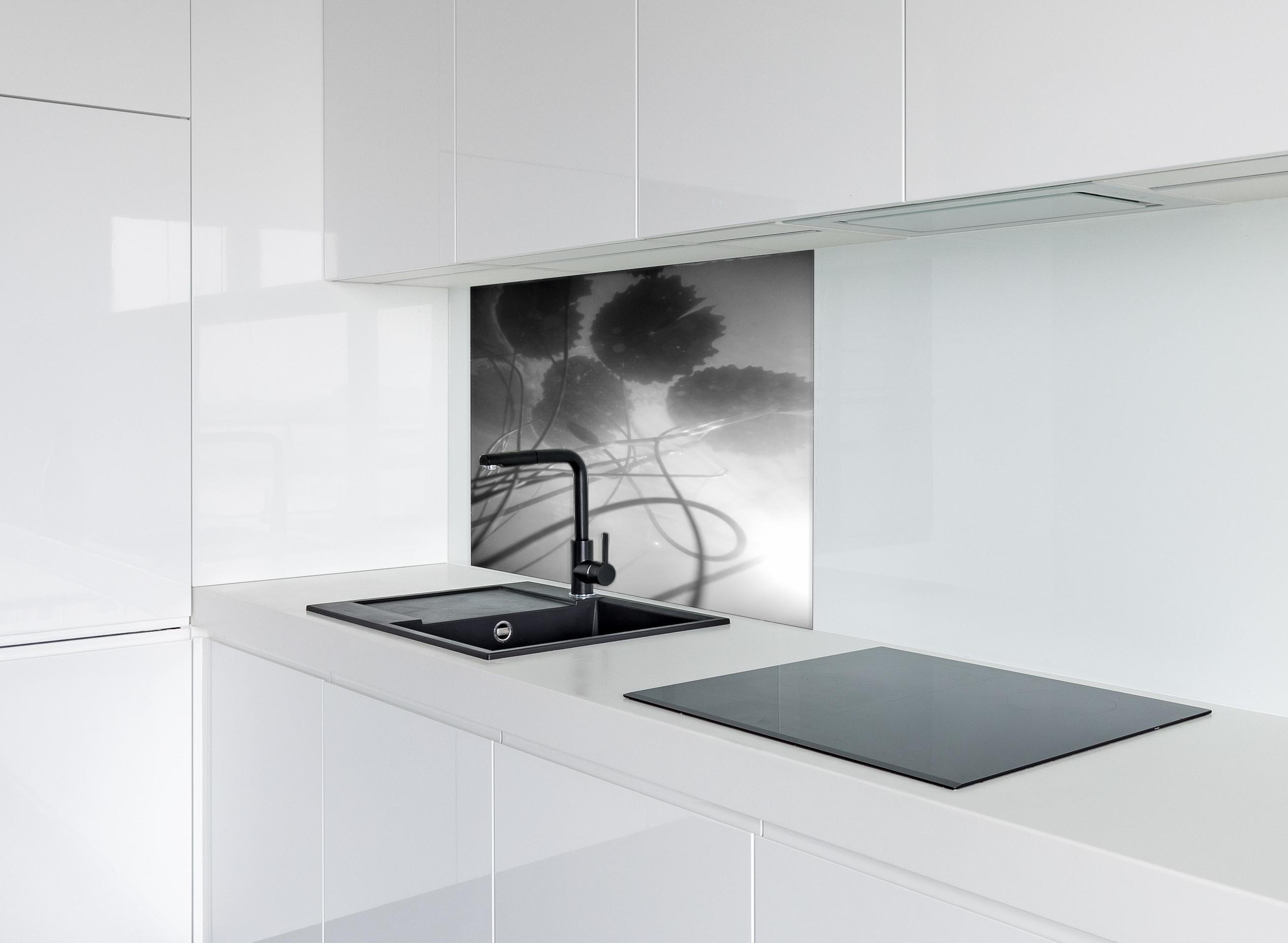 Spritzschutz - Schwarz-weiße Nahaufnahme der Water Lily hinter einem Cerankochfeld zwischen Holz-Kochutensilien