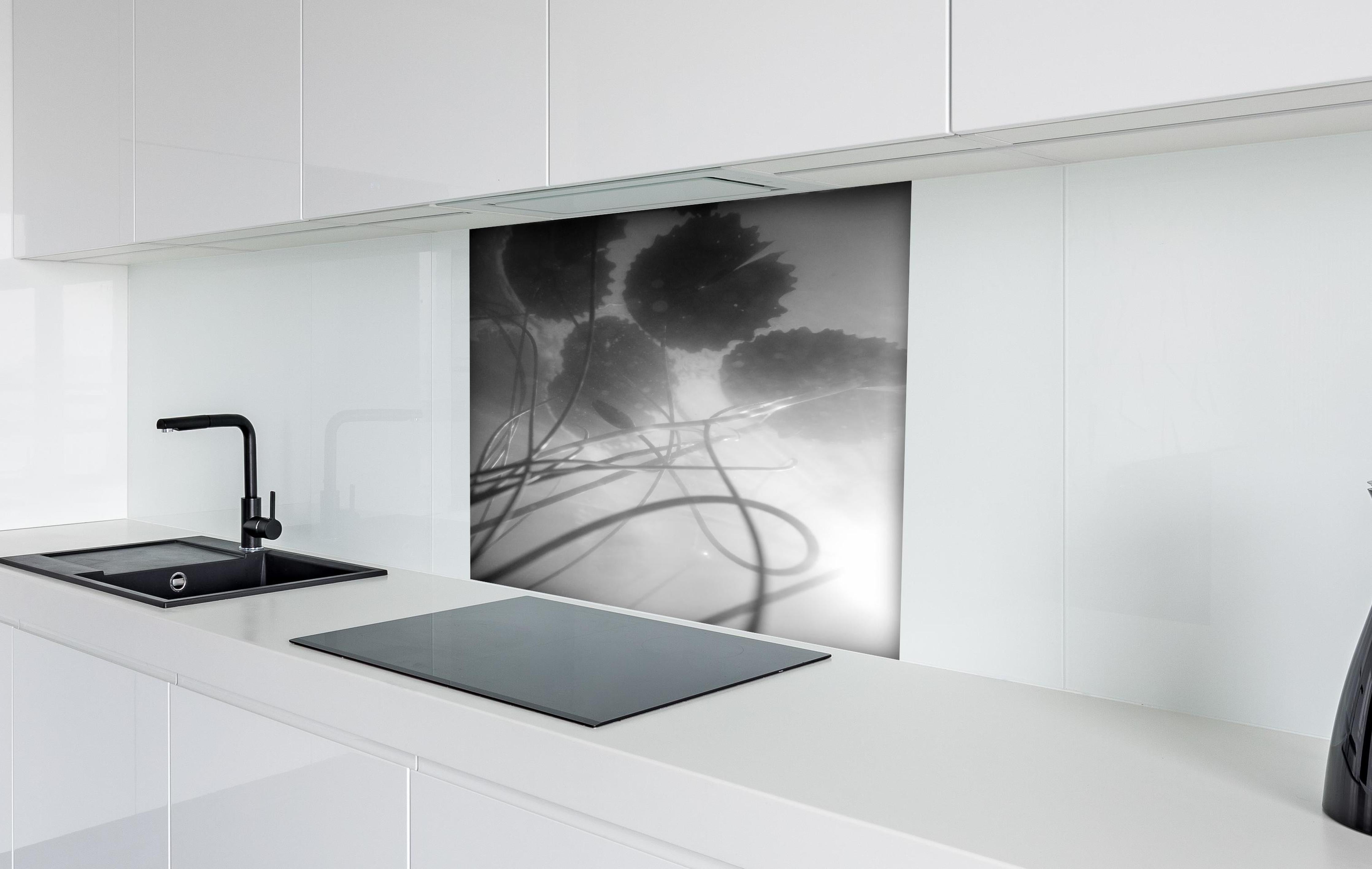 Spritzschutz - Schwarz-weiße Nahaufnahme der Water Lily hinter einem Cerankochfeld zwischen Holz-Kochutensilien