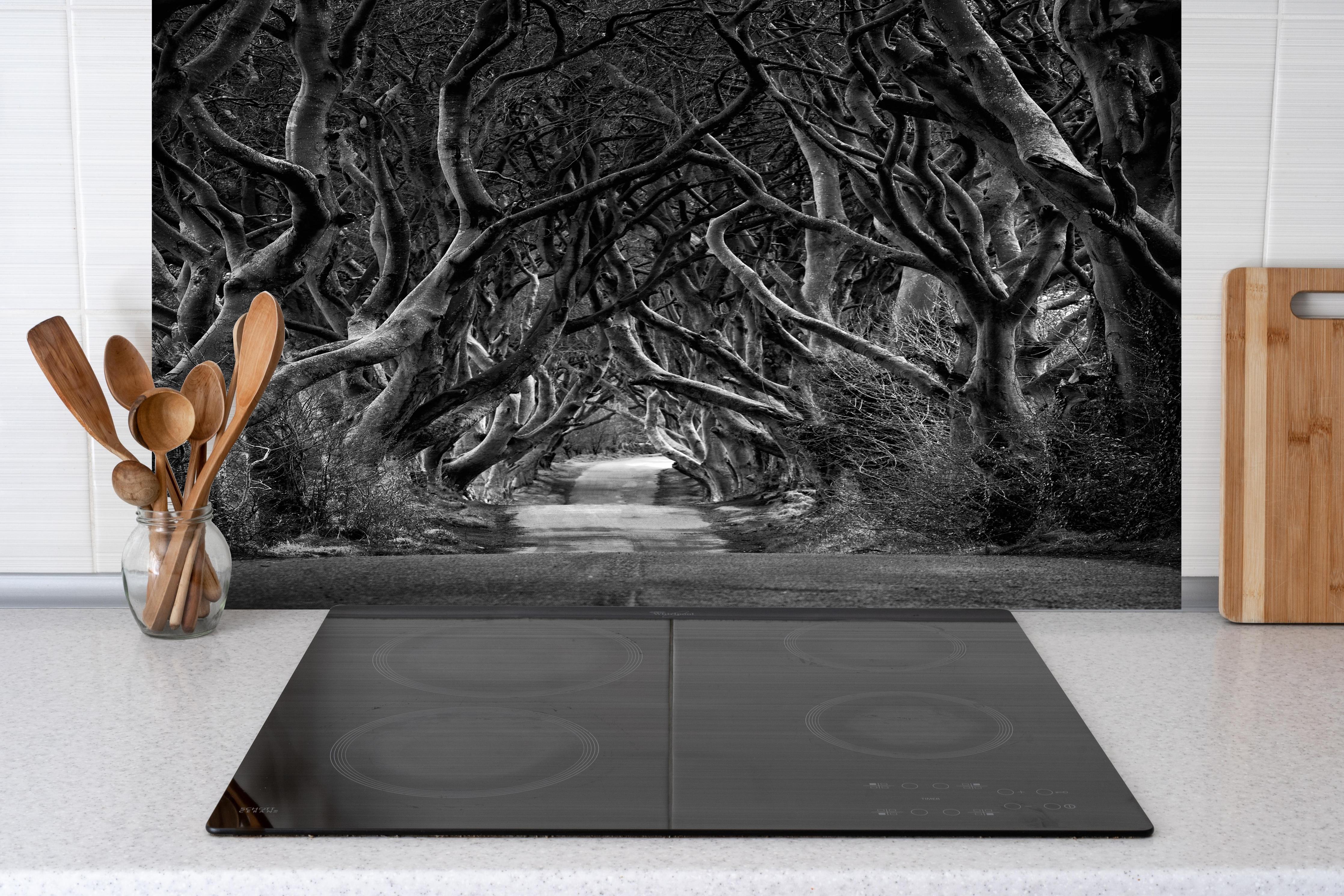 Spritzschutz - Schwarz, weißer Waldweg hinter einem Cerankochfeld zwischen Holz-Kochutensilien