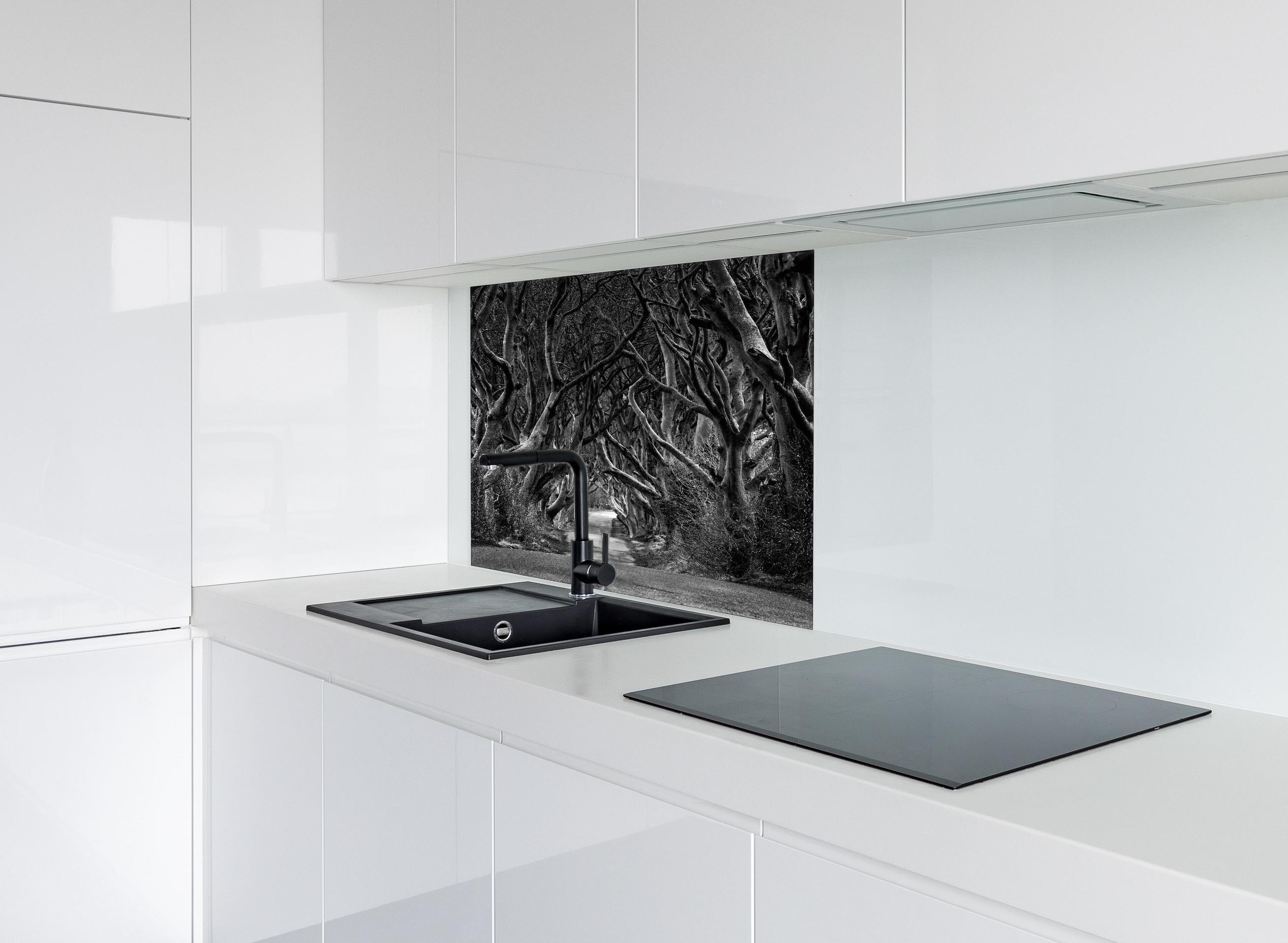 Spritzschutz - Schwarz, weißer Waldweg hinter einem Cerankochfeld zwischen Holz-Kochutensilien