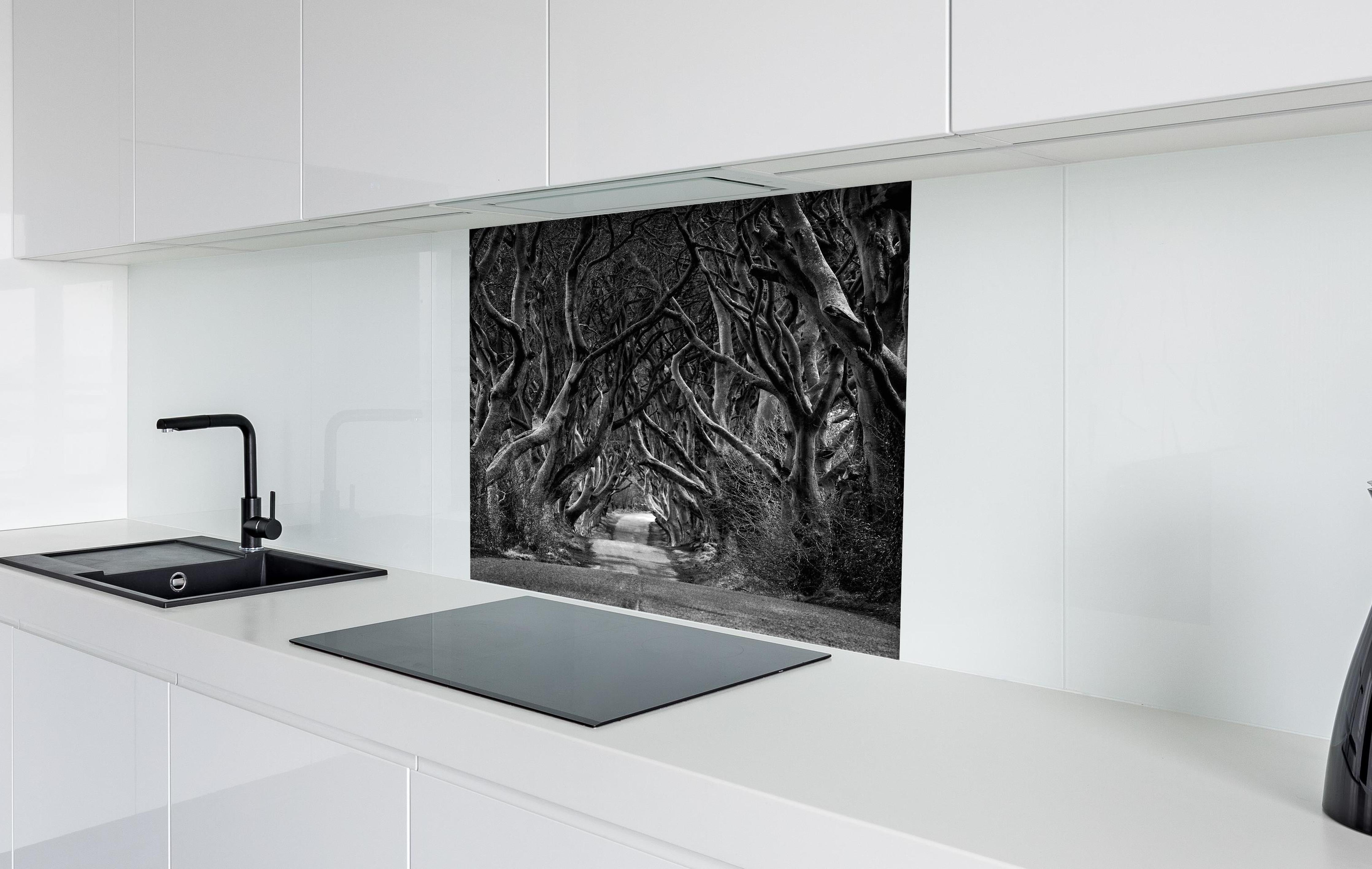 Spritzschutz - Schwarz, weißer Waldweg hinter einem Cerankochfeld zwischen Holz-Kochutensilien