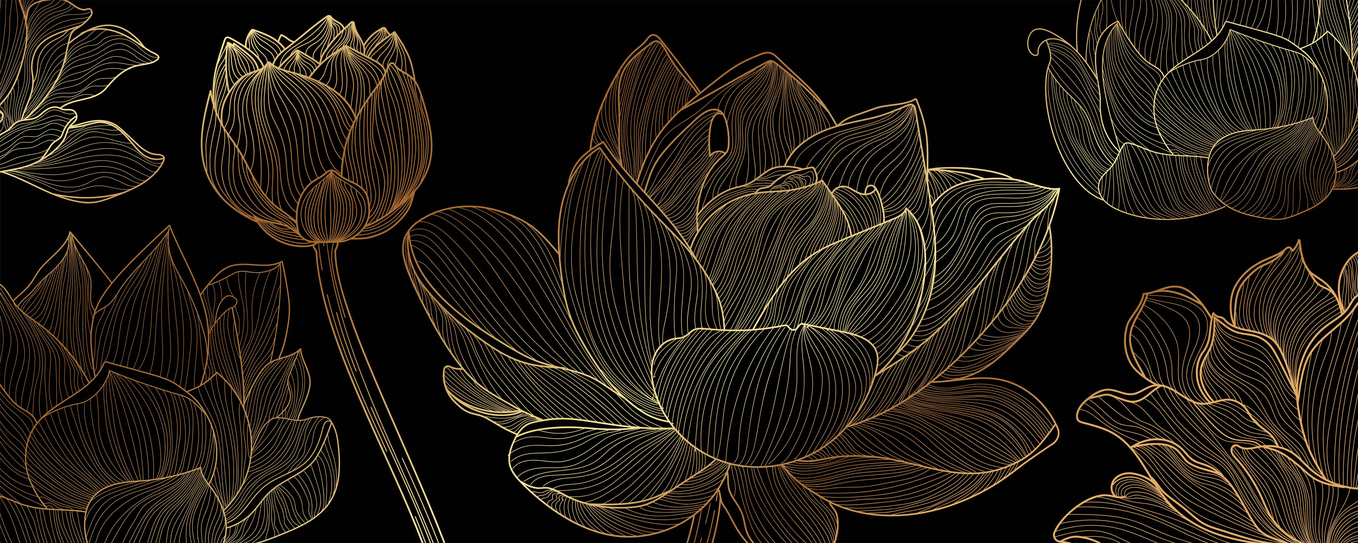 Spritzschutz-Schwarzer Hintergrund Blumen Goldlinien Kunst