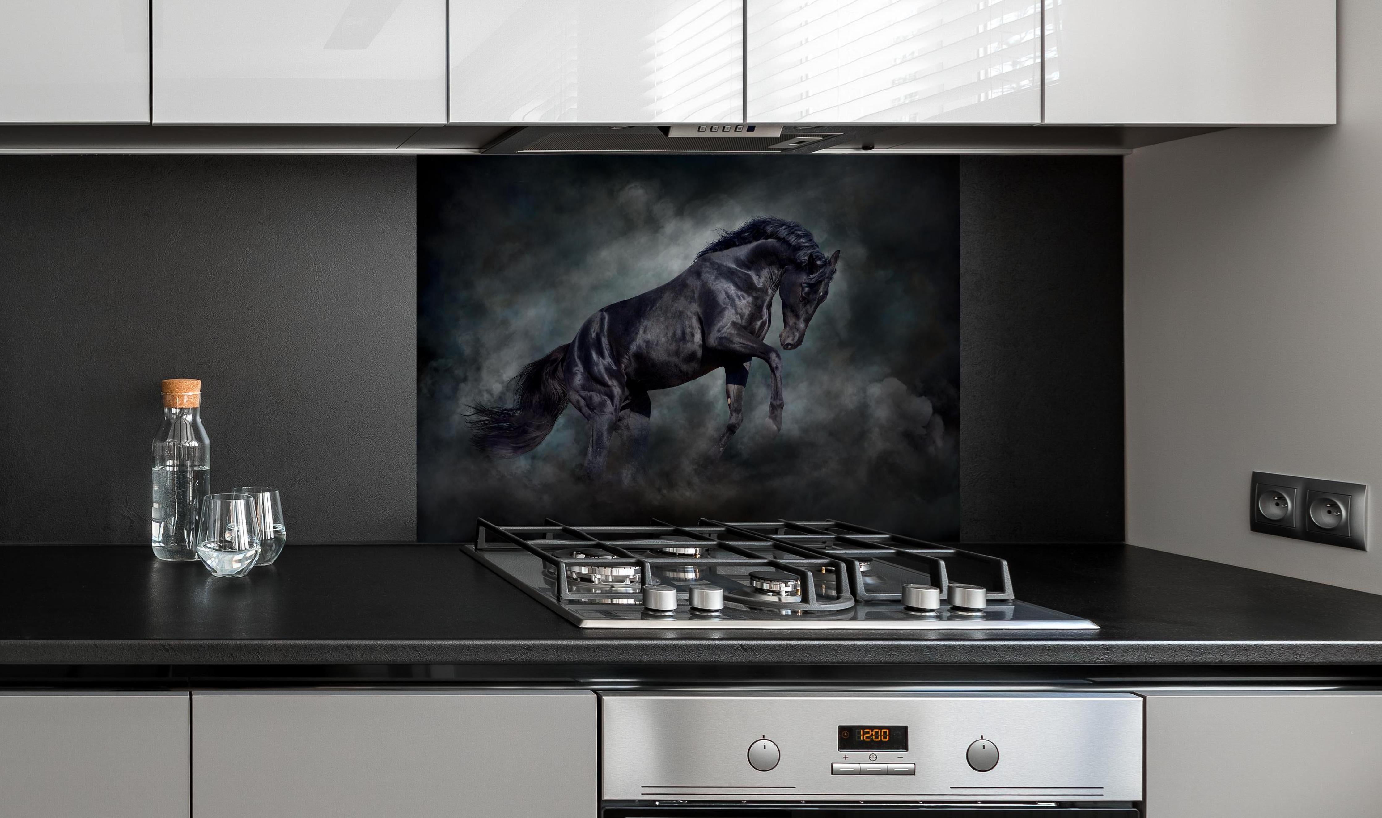 Spritzschutz - Schwarzer hengst hinter einem Cerankochfeld zwischen Holz-Kochutensilien