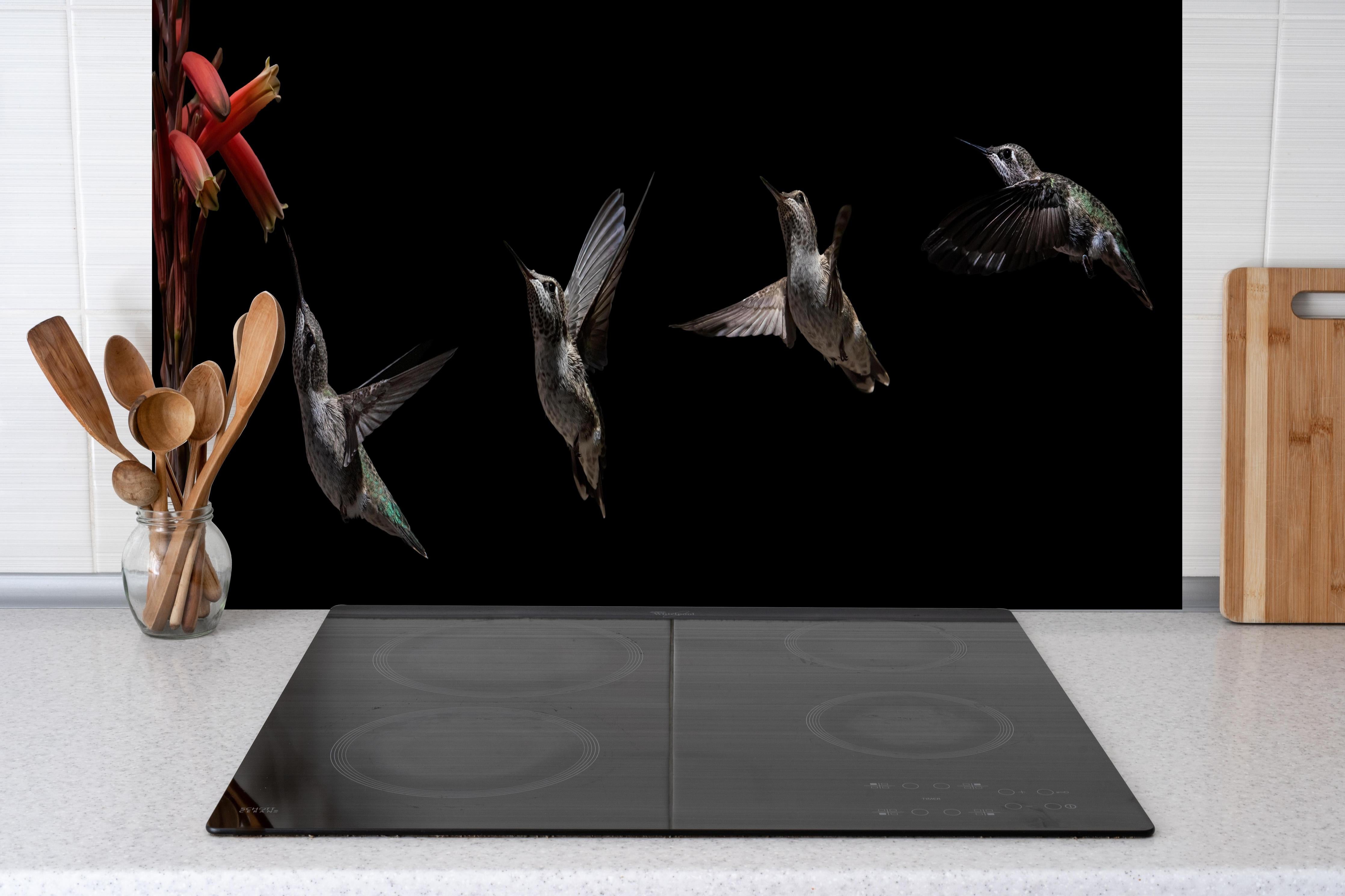 Spritzschutz - Schwarzkinnkolibri Vogel mit Schwarzem Hintergrund hinter einem Cerankochfeld zwischen Holz-Kochutensilien