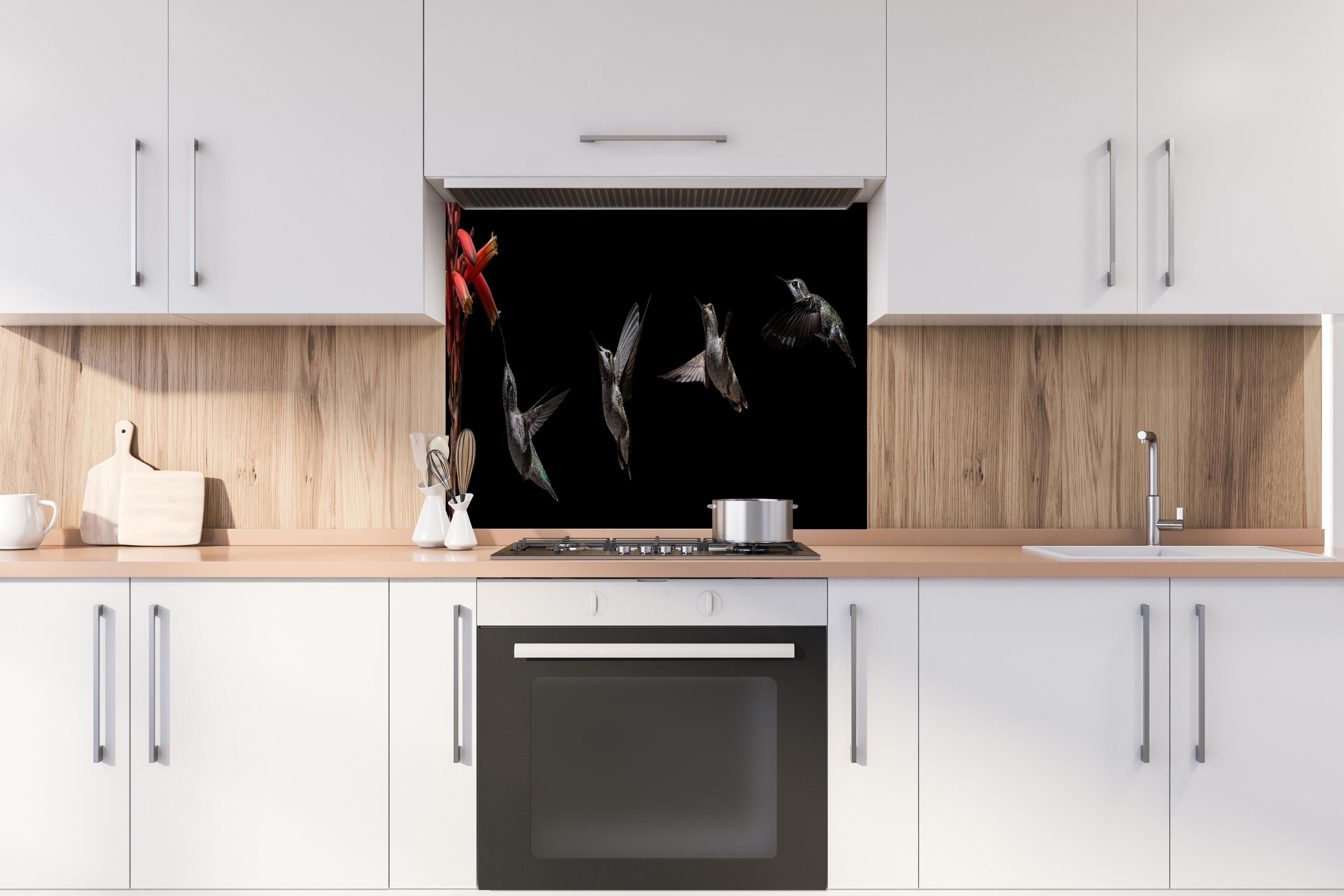 Spritzschutz - Schwarzkinnkolibri Vogel mit Schwarzem Hintergrund hinter einem Cerankochfeld zwischen Holz-Kochutensilien