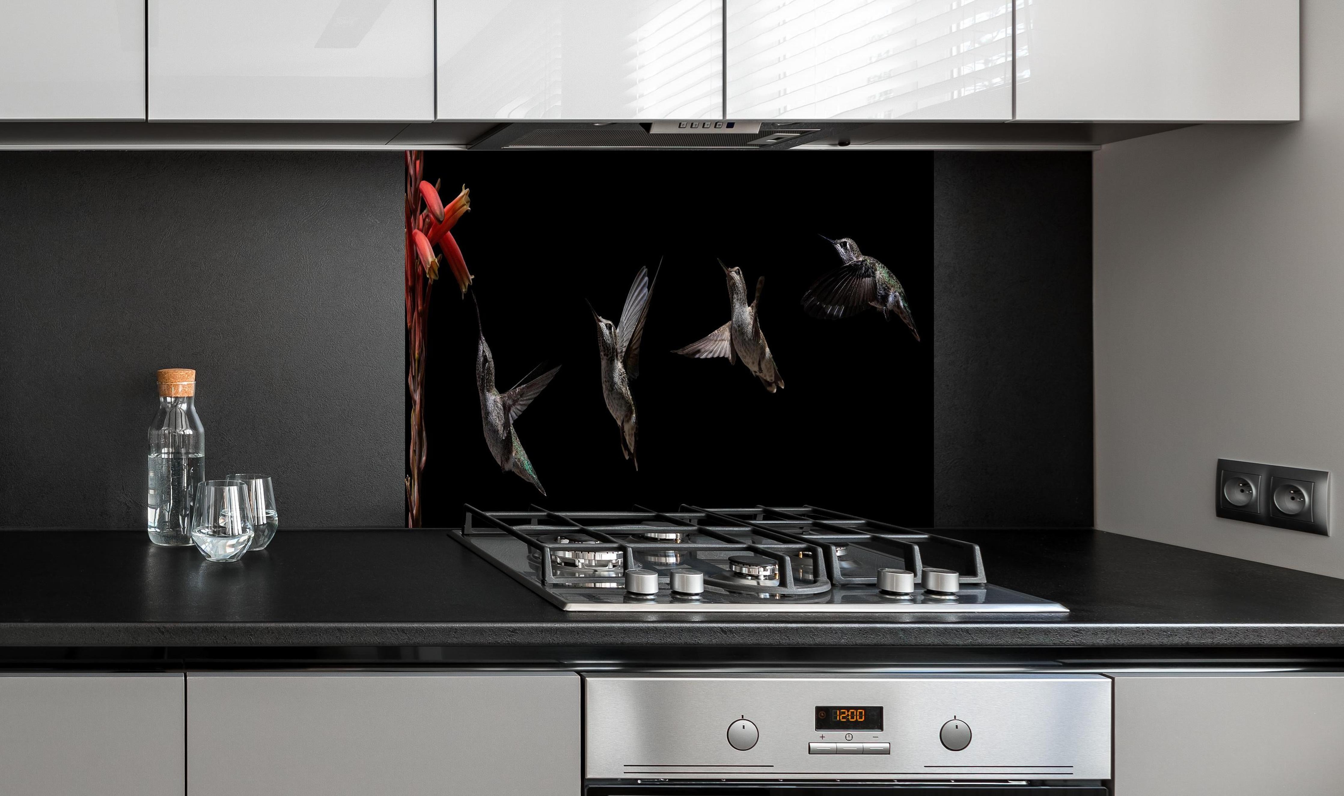 Spritzschutz - Schwarzkinnkolibri Vogel mit Schwarzem Hintergrund hinter einem Cerankochfeld zwischen Holz-Kochutensilien