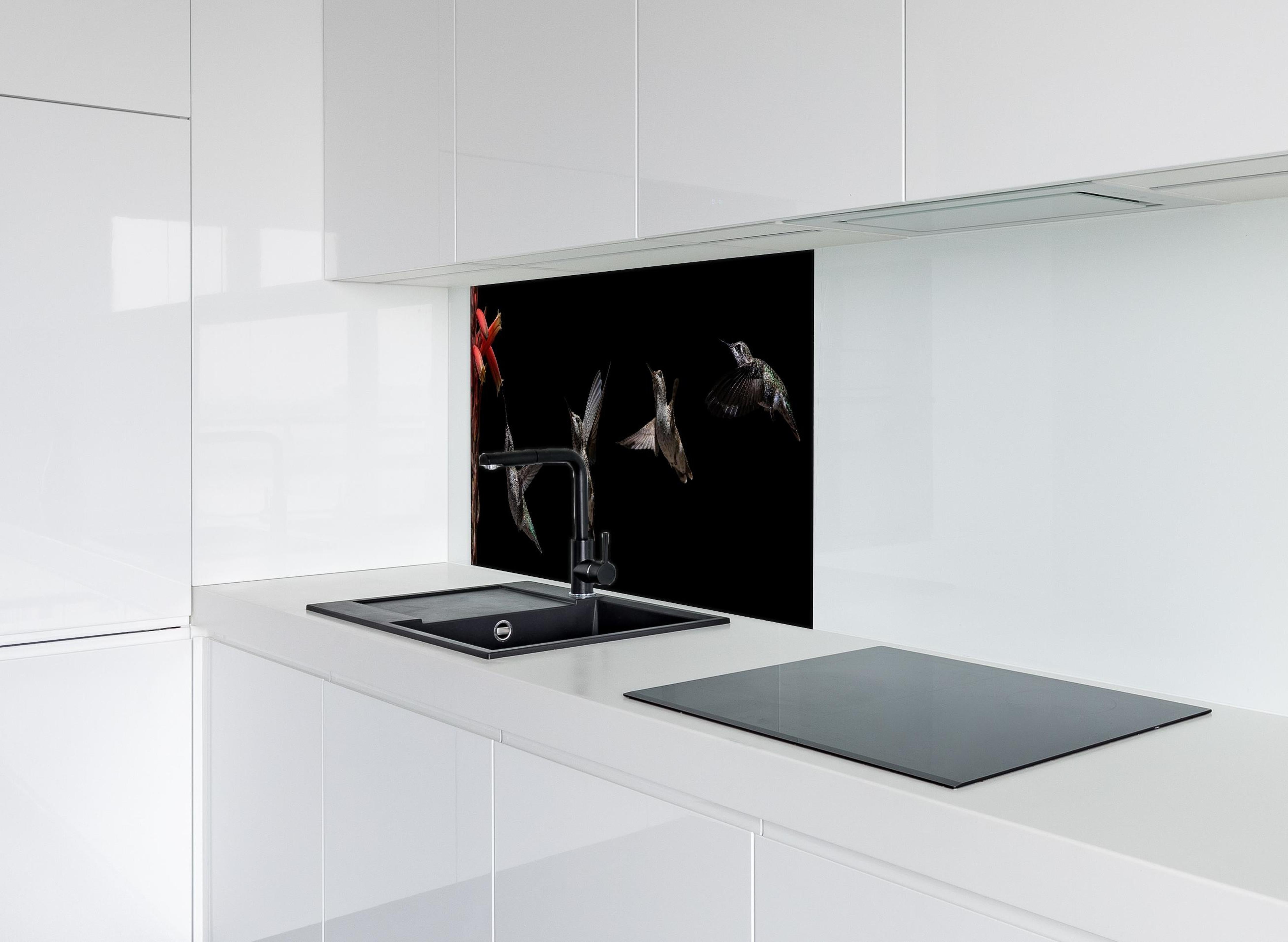 Spritzschutz - Schwarzkinnkolibri Vogel mit Schwarzem Hintergrund hinter einem Cerankochfeld zwischen Holz-Kochutensilien