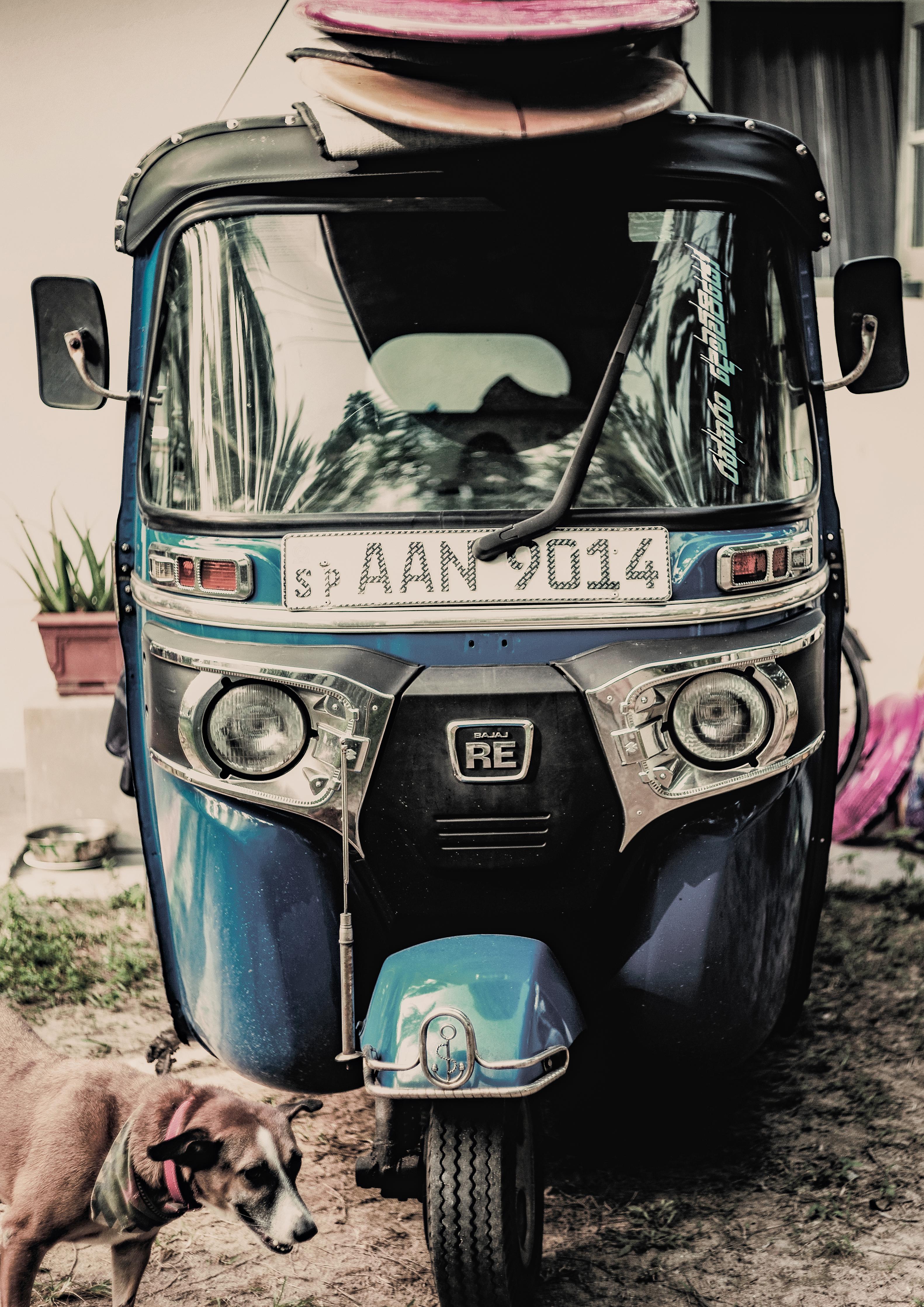 Spritzschutz-Self Drive