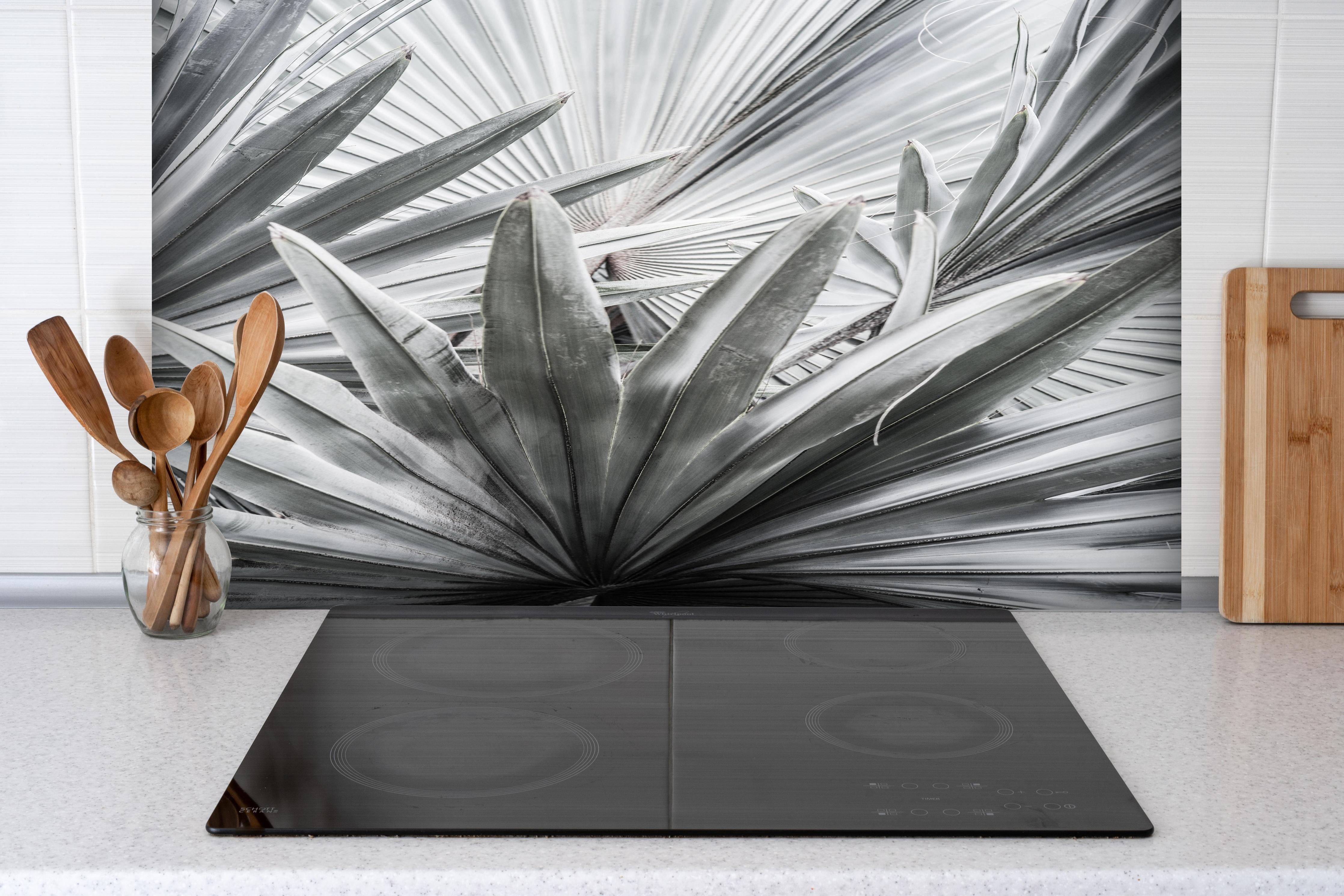 Spritzschutz - Silber-Graue Agave Pflanzenstruktur hinter einem Cerankochfeld zwischen Holz-Kochutensilien