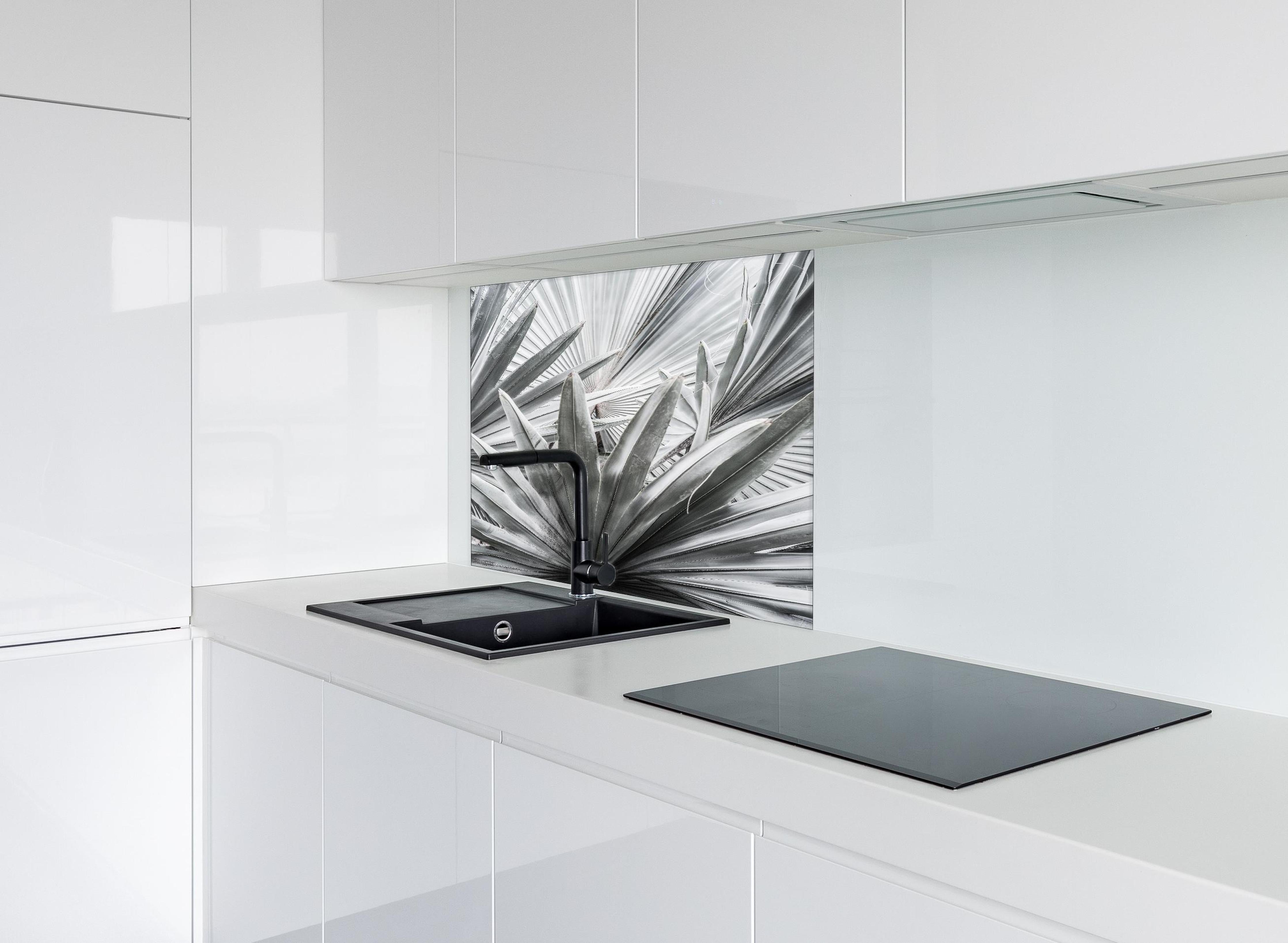 Spritzschutz - Silber-Graue Agave Pflanzenstruktur hinter einem Cerankochfeld zwischen Holz-Kochutensilien