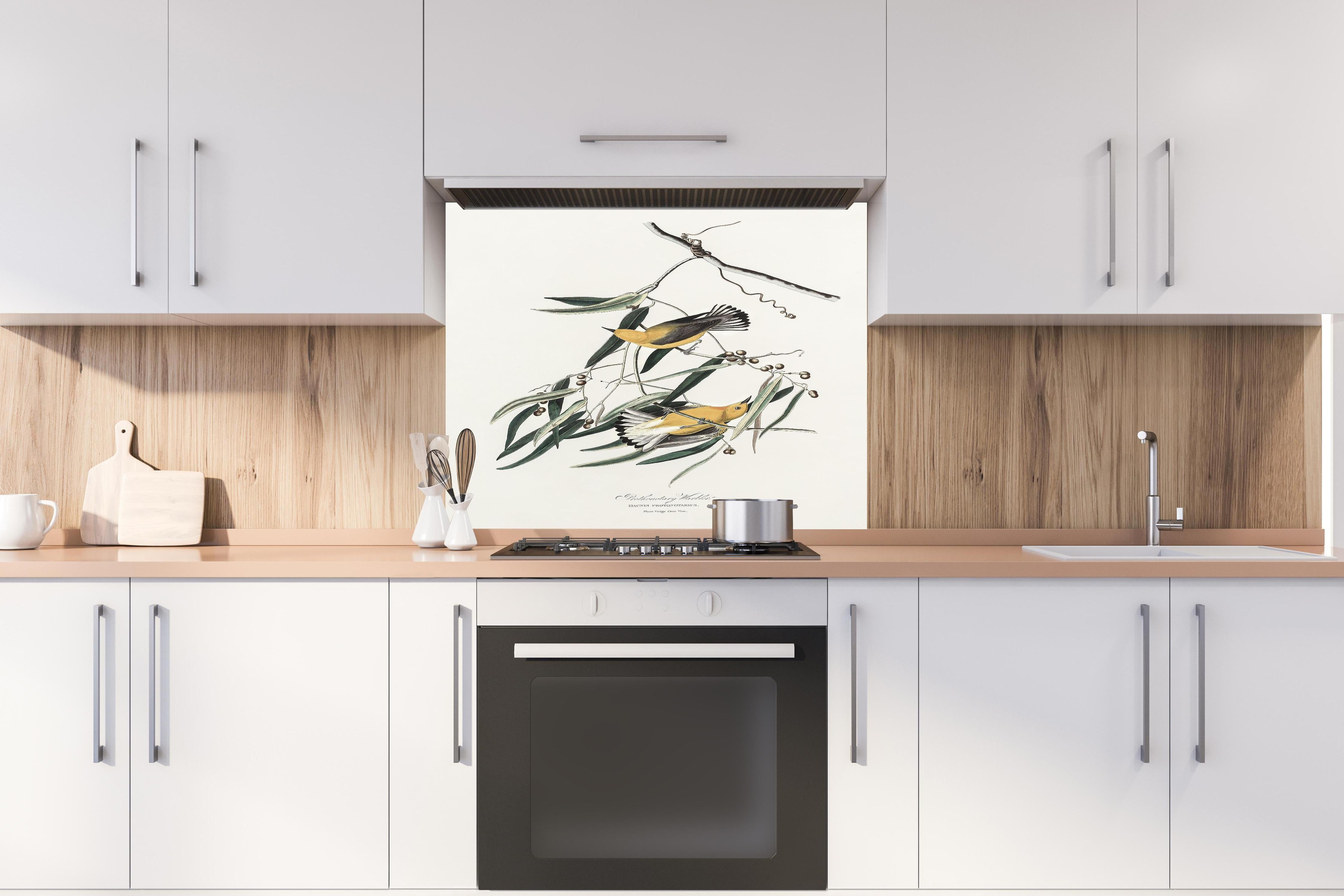 Spritzschutz - Singvogel Portrait - John James Audubon hinter einem Cerankochfeld zwischen Holz-Kochutensilien