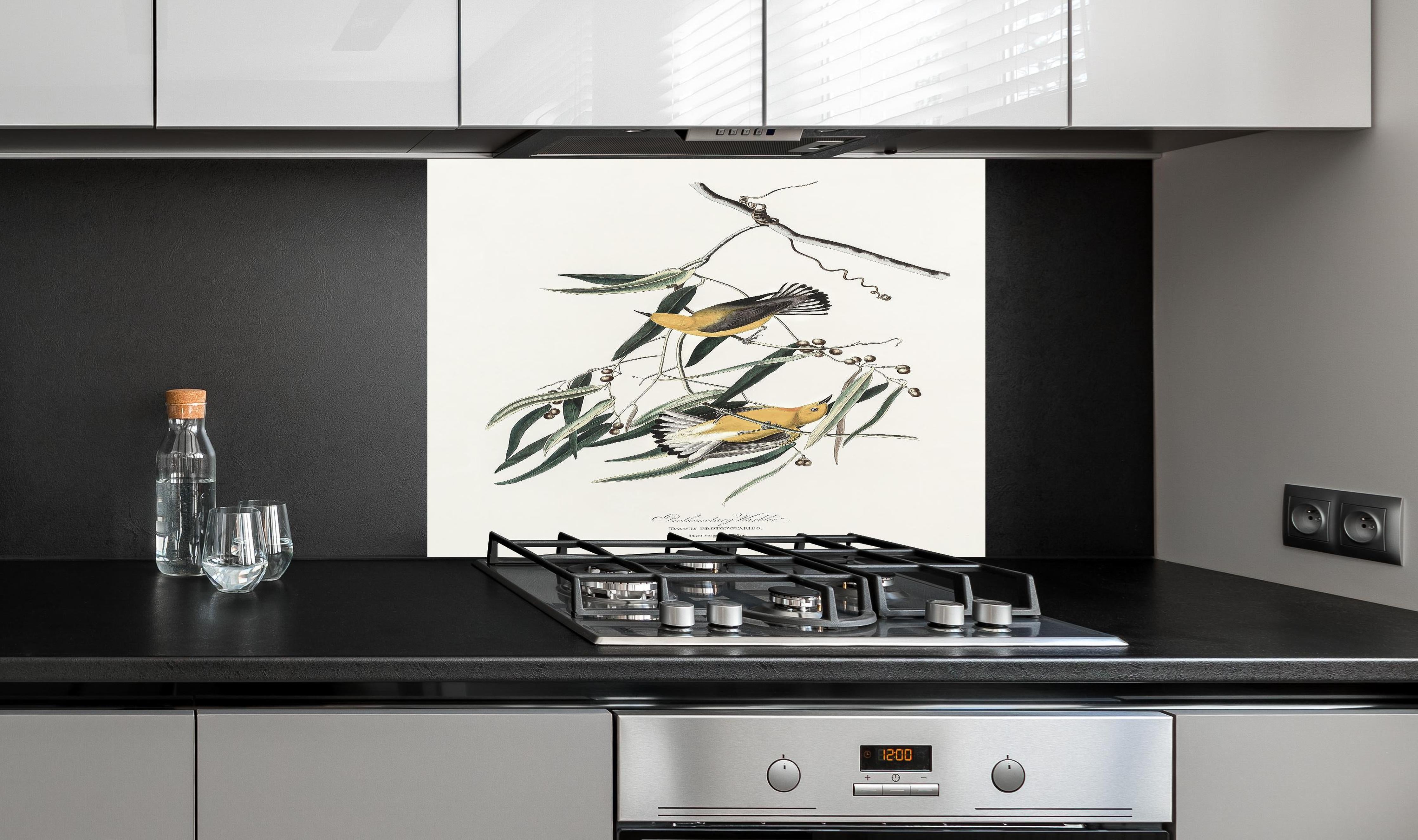 Spritzschutz - Singvogel Portrait - John James Audubon hinter einem Cerankochfeld zwischen Holz-Kochutensilien