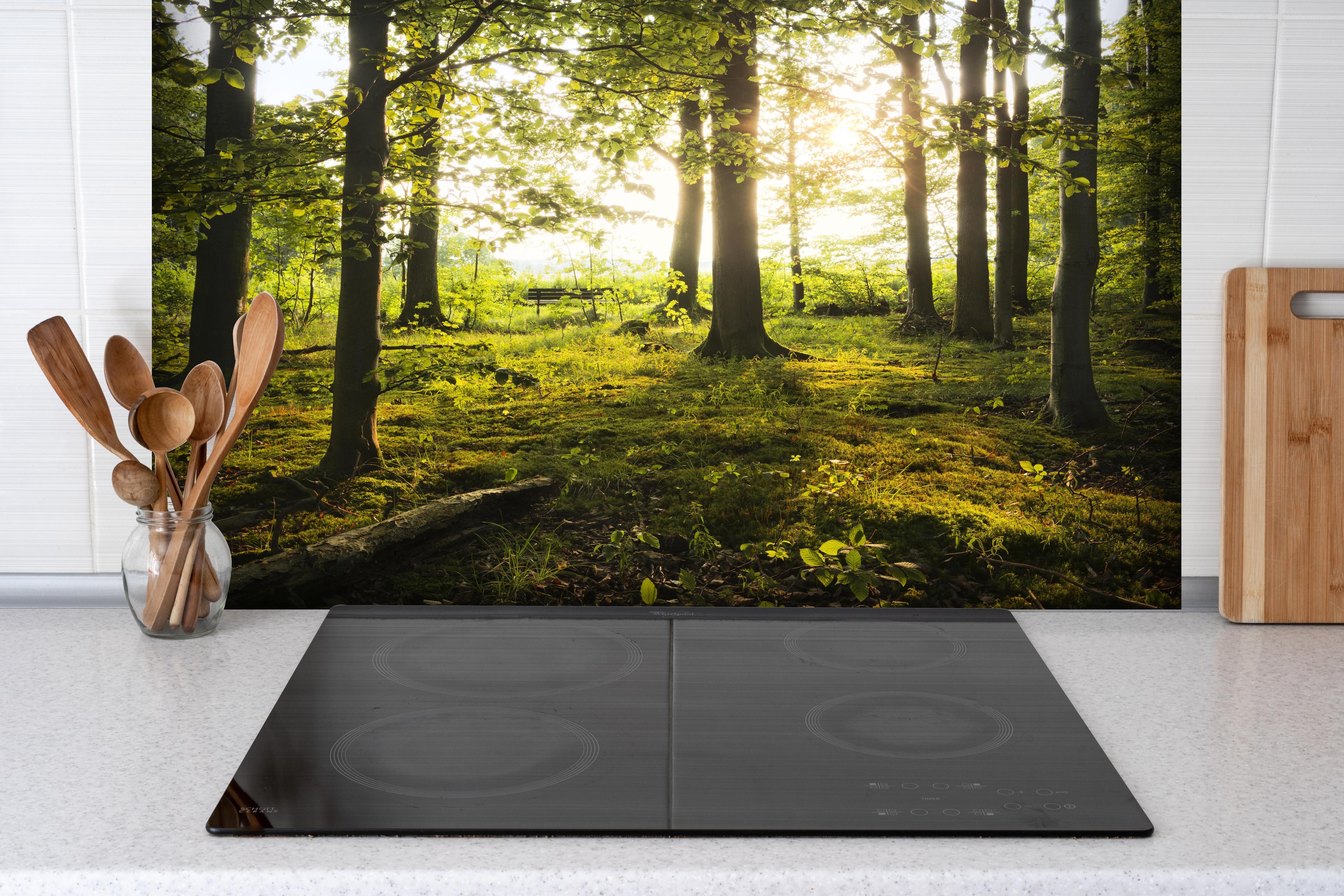 Spritzschutz - Sommer Wald hinter einem Cerankochfeld zwischen Holz-Kochutensilien