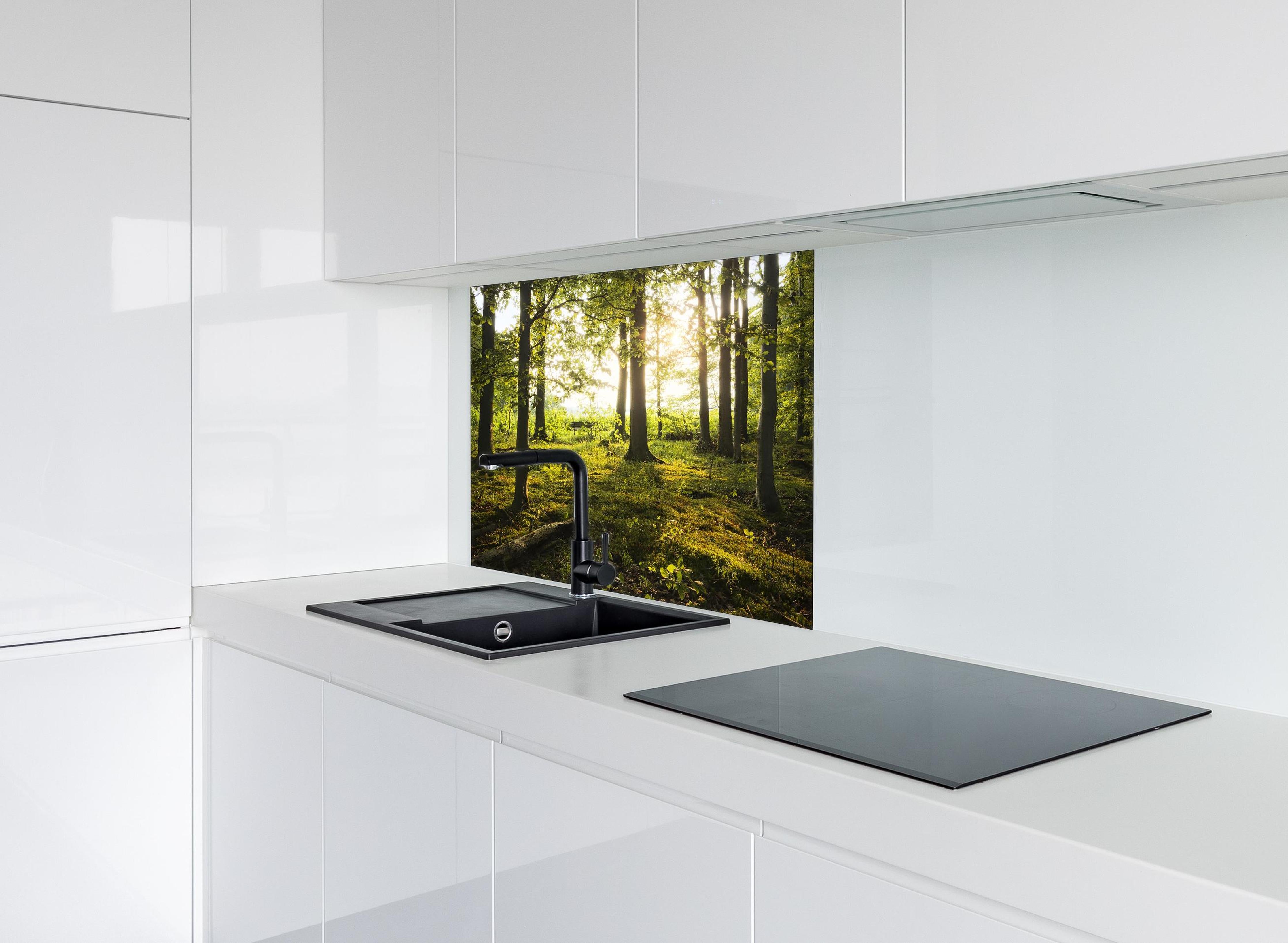 Spritzschutz - Sommer Wald hinter einem Cerankochfeld zwischen Holz-Kochutensilien