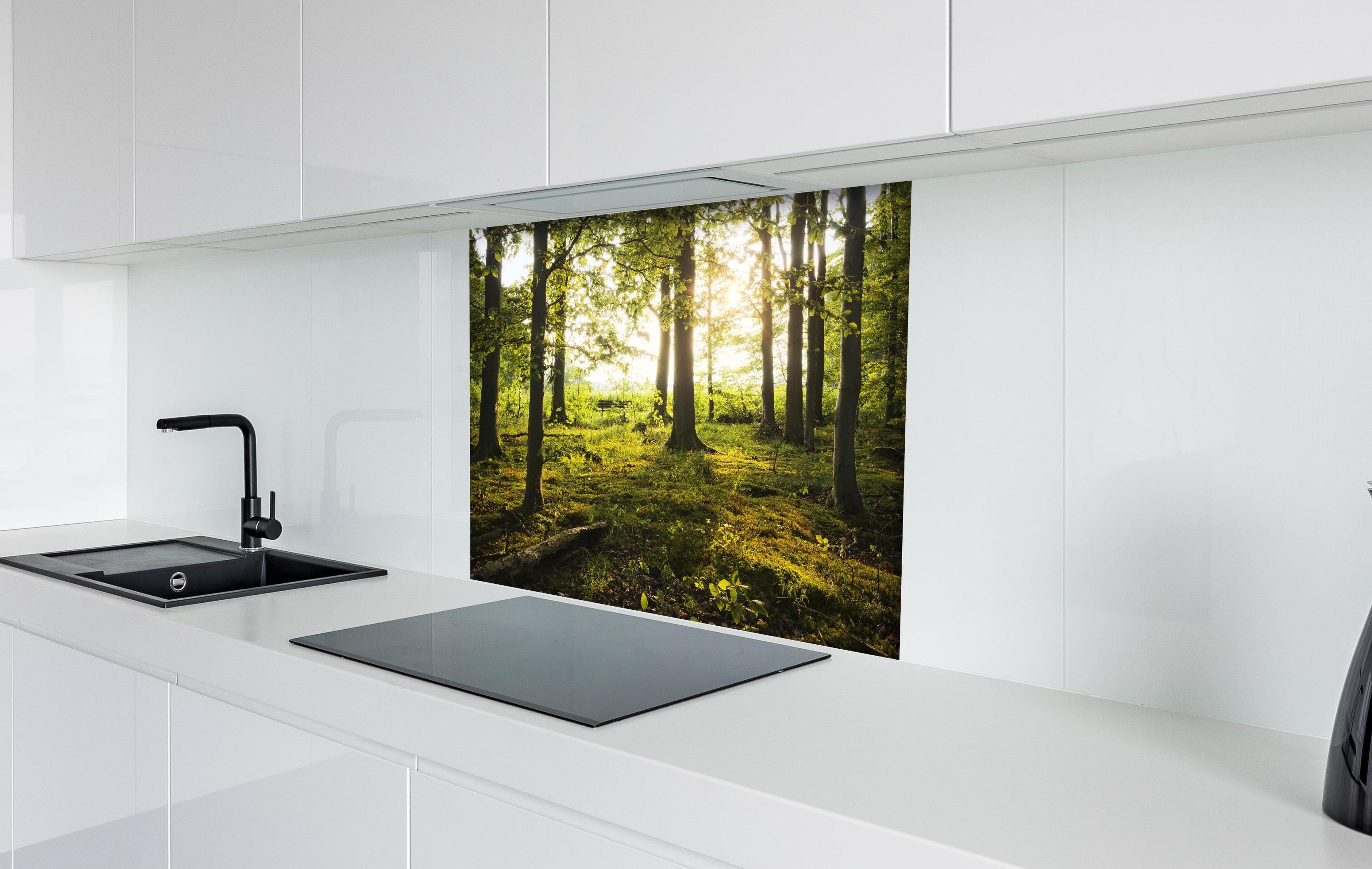 Spritzschutz - Sommer Wald hinter einem Cerankochfeld zwischen Holz-Kochutensilien