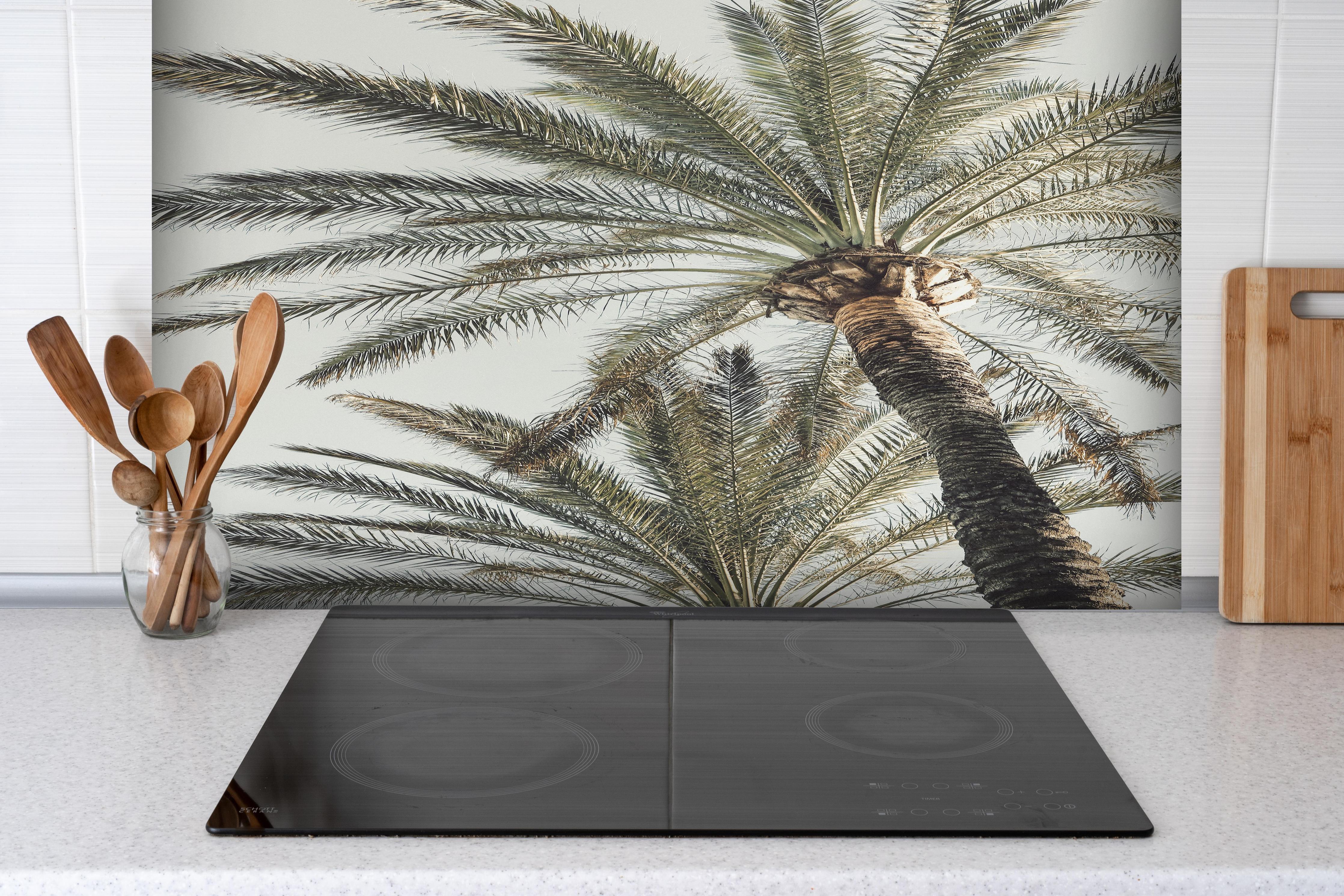 Spritzschutz - Sommerliche Palme hinter einem Cerankochfeld zwischen Holz-Kochutensilien