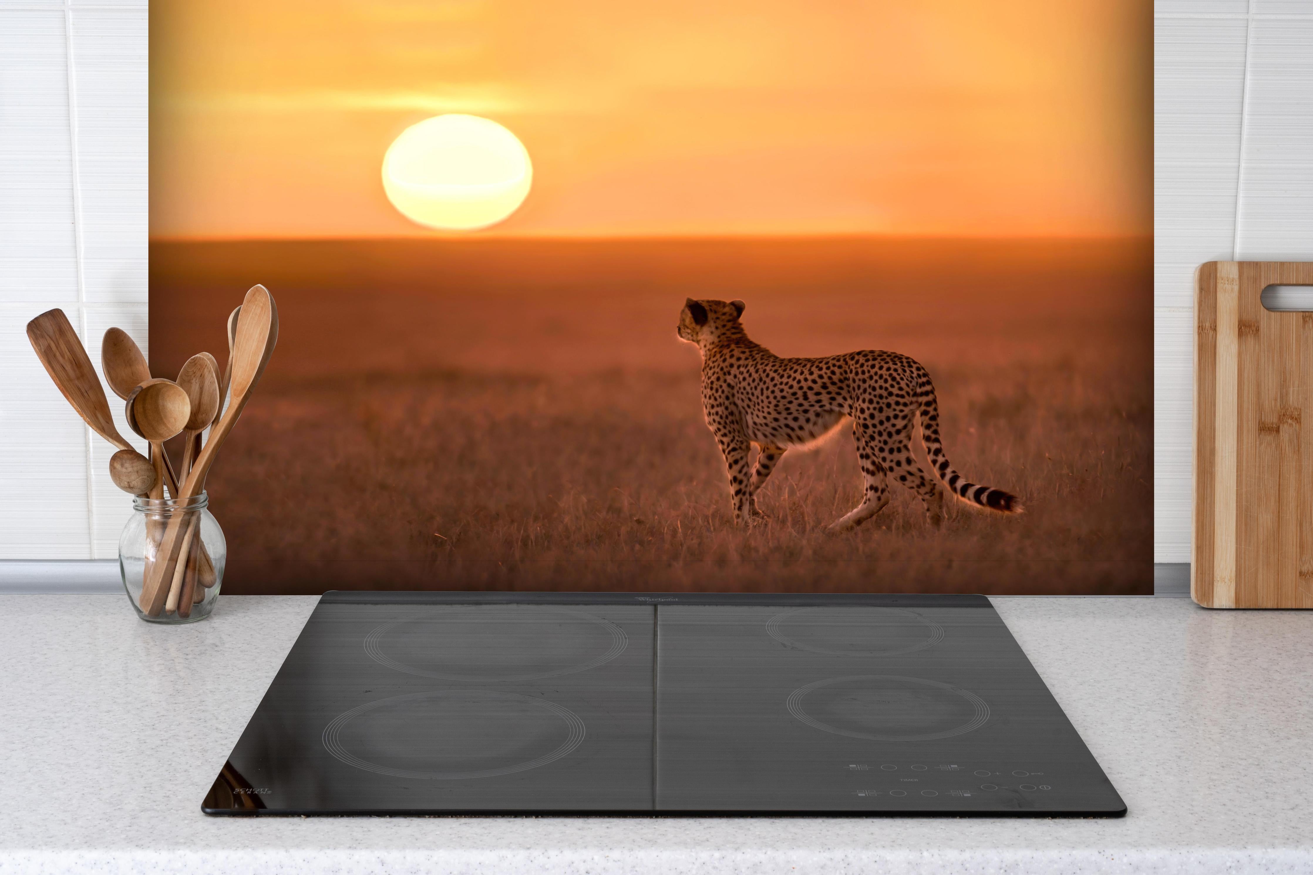 Spritzschutz - Sonnenaufgang in der Savanne - Afrika hinter einem Cerankochfeld zwischen Holz-Kochutensilien