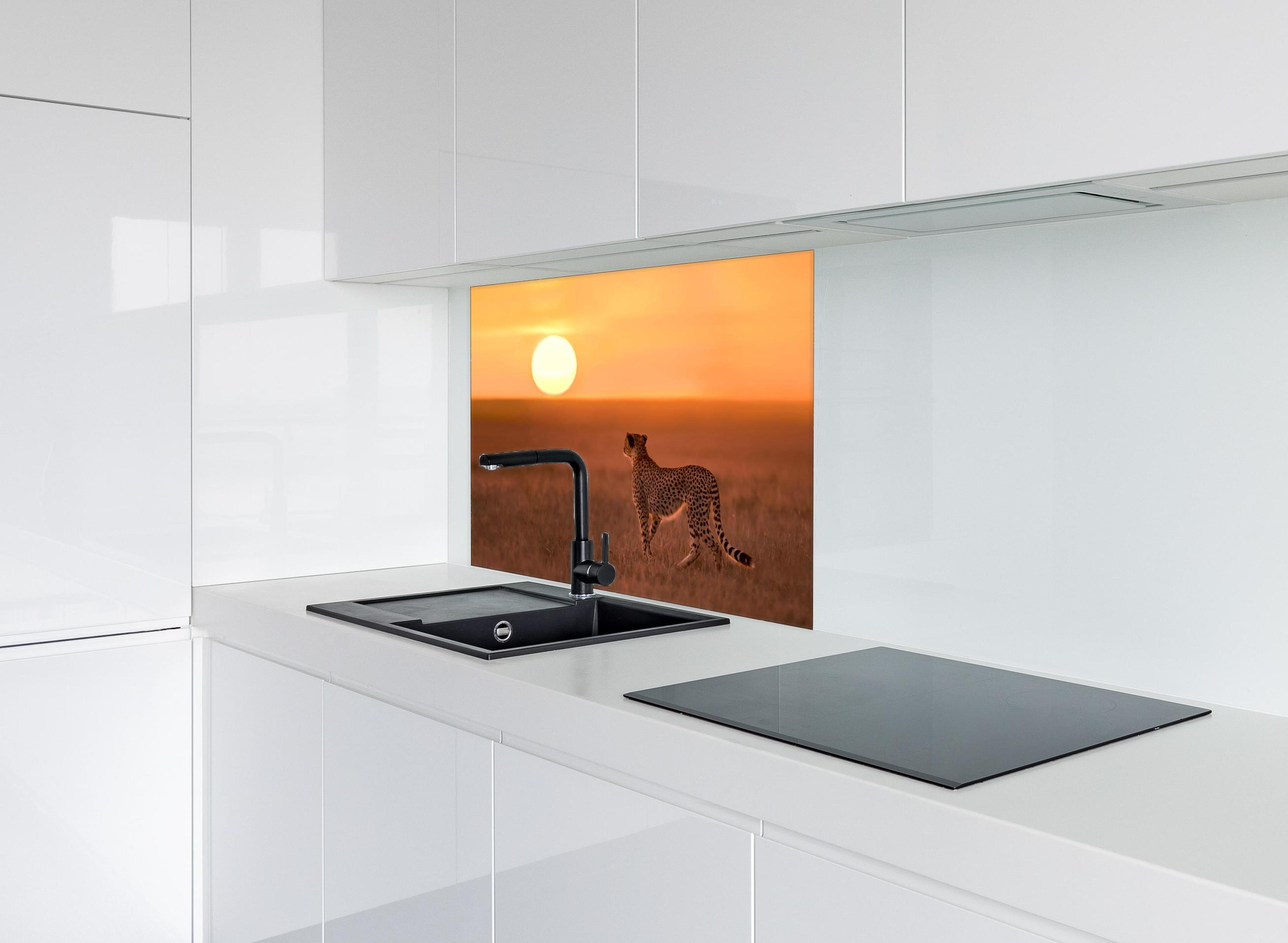 Spritzschutz - Sonnenaufgang in der Savanne - Afrika hinter einem Cerankochfeld zwischen Holz-Kochutensilien