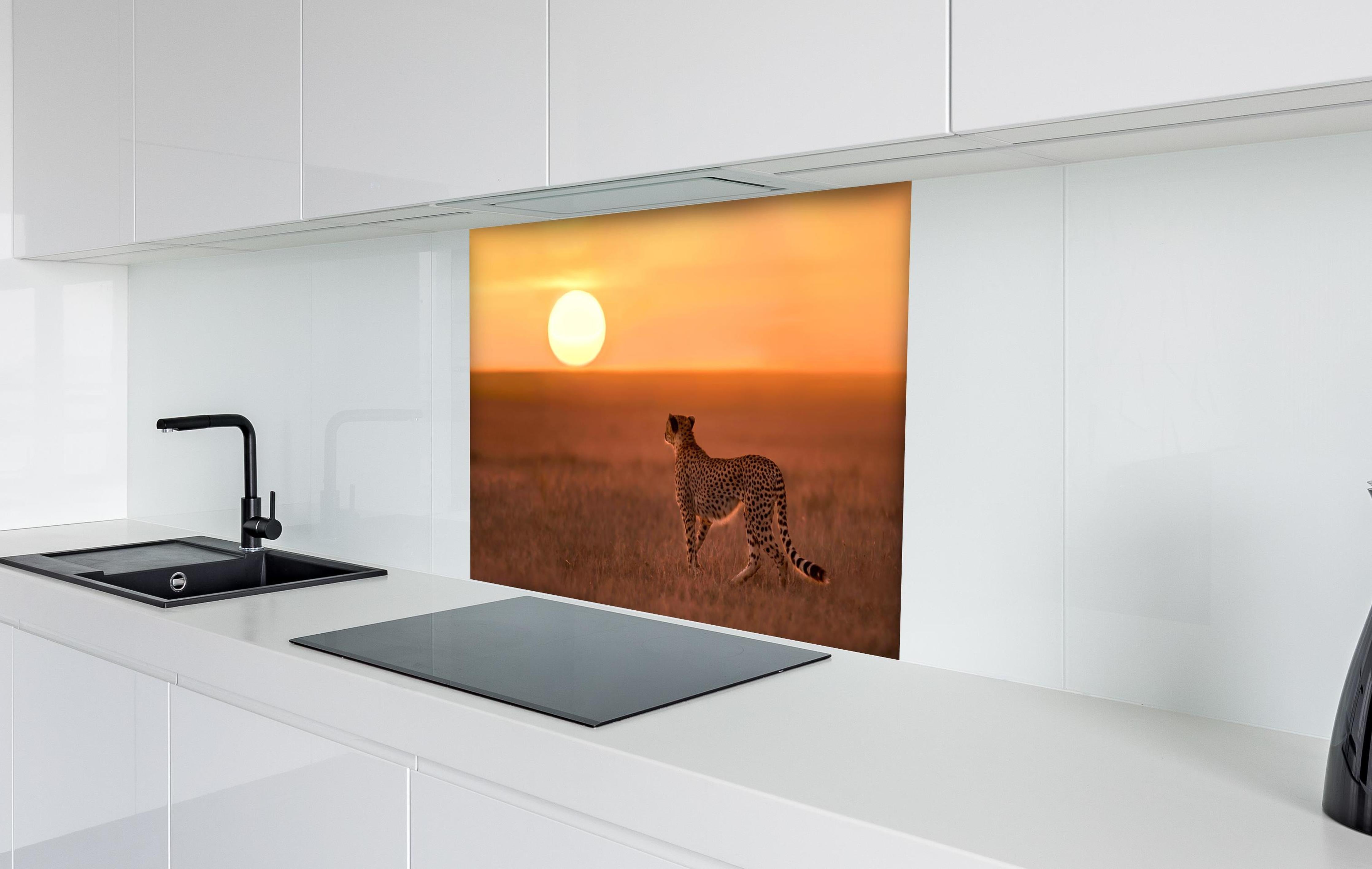 Spritzschutz - Sonnenaufgang in der Savanne - Afrika hinter einem Cerankochfeld zwischen Holz-Kochutensilien