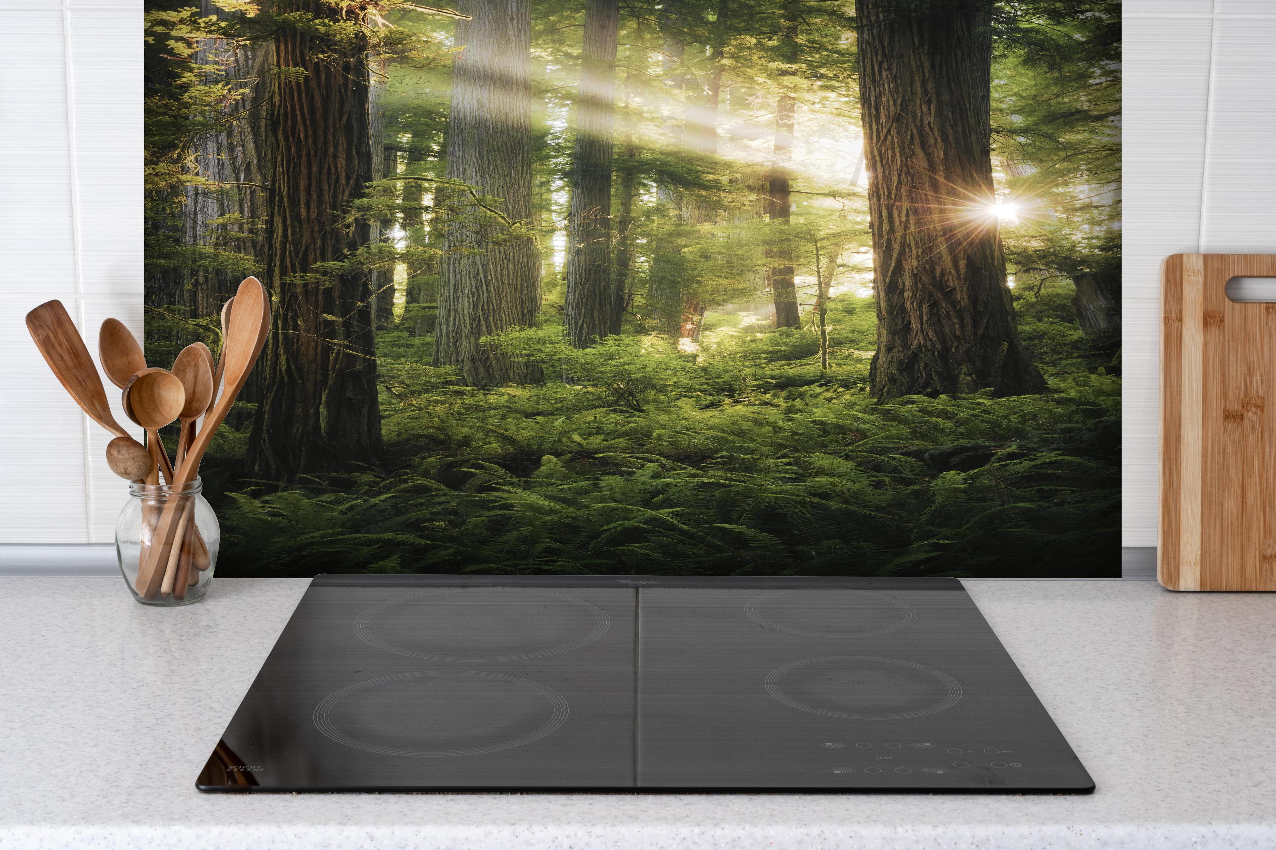 Spritzschutz - Sonnendurchfluteter Herbstwald in Kalifornien hinter einem Cerankochfeld zwischen Holz-Kochutensilien
