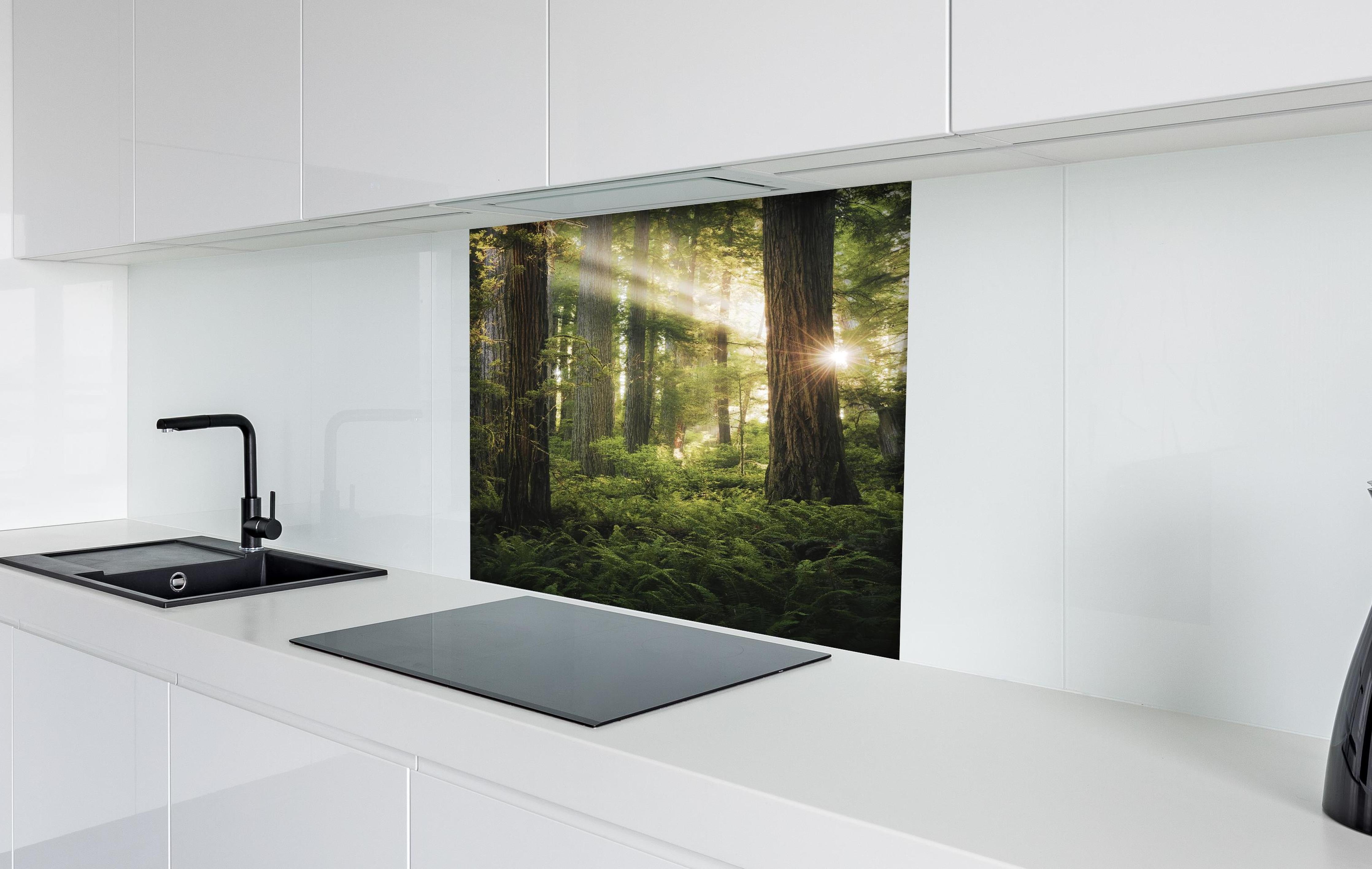 Spritzschutz - Sonnendurchfluteter Herbstwald in Kalifornien hinter einem Cerankochfeld zwischen Holz-Kochutensilien