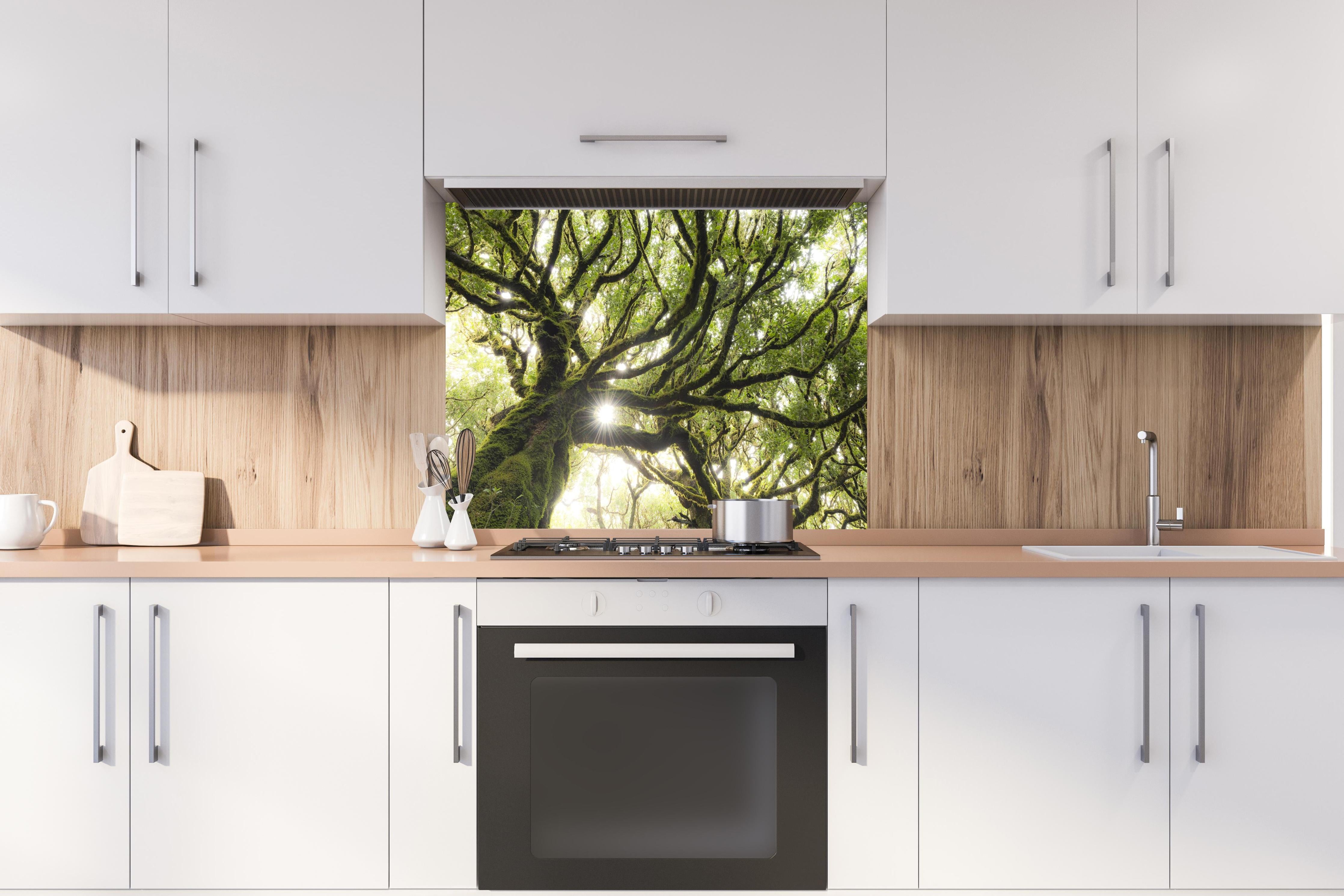 Spritzschutz - Sonnenstrahlen im Wald hinter einem Cerankochfeld zwischen Holz-Kochutensilien