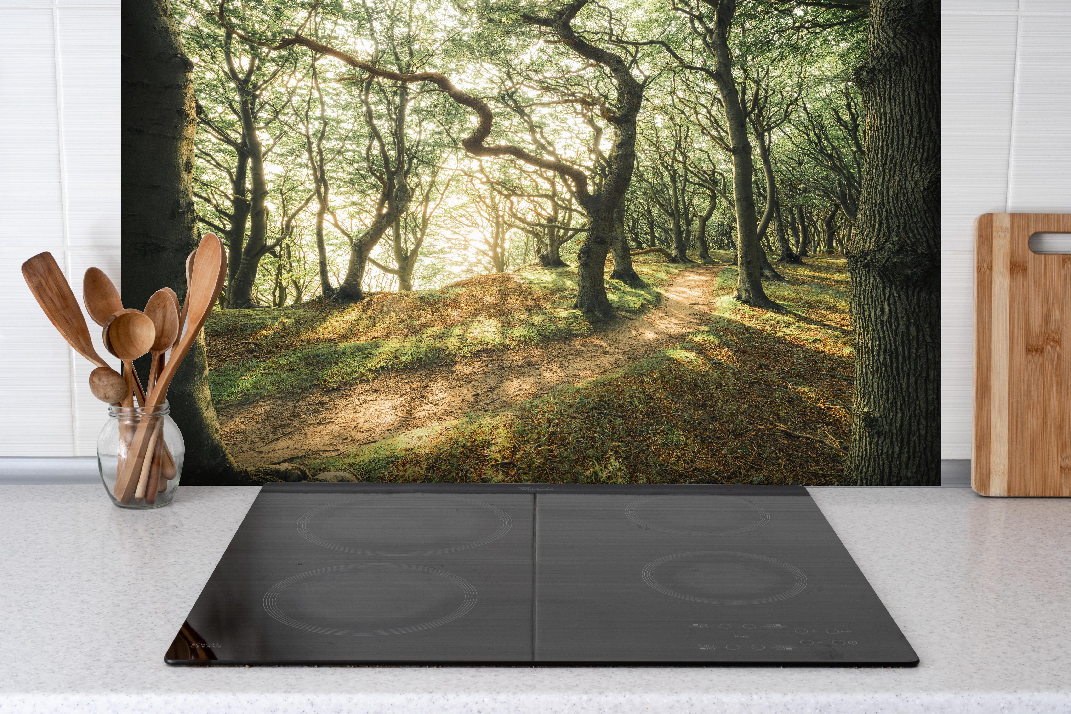 Spritzschutz - Sonnenstrahlen im Waldweg hinter einem Cerankochfeld zwischen Holz-Kochutensilien