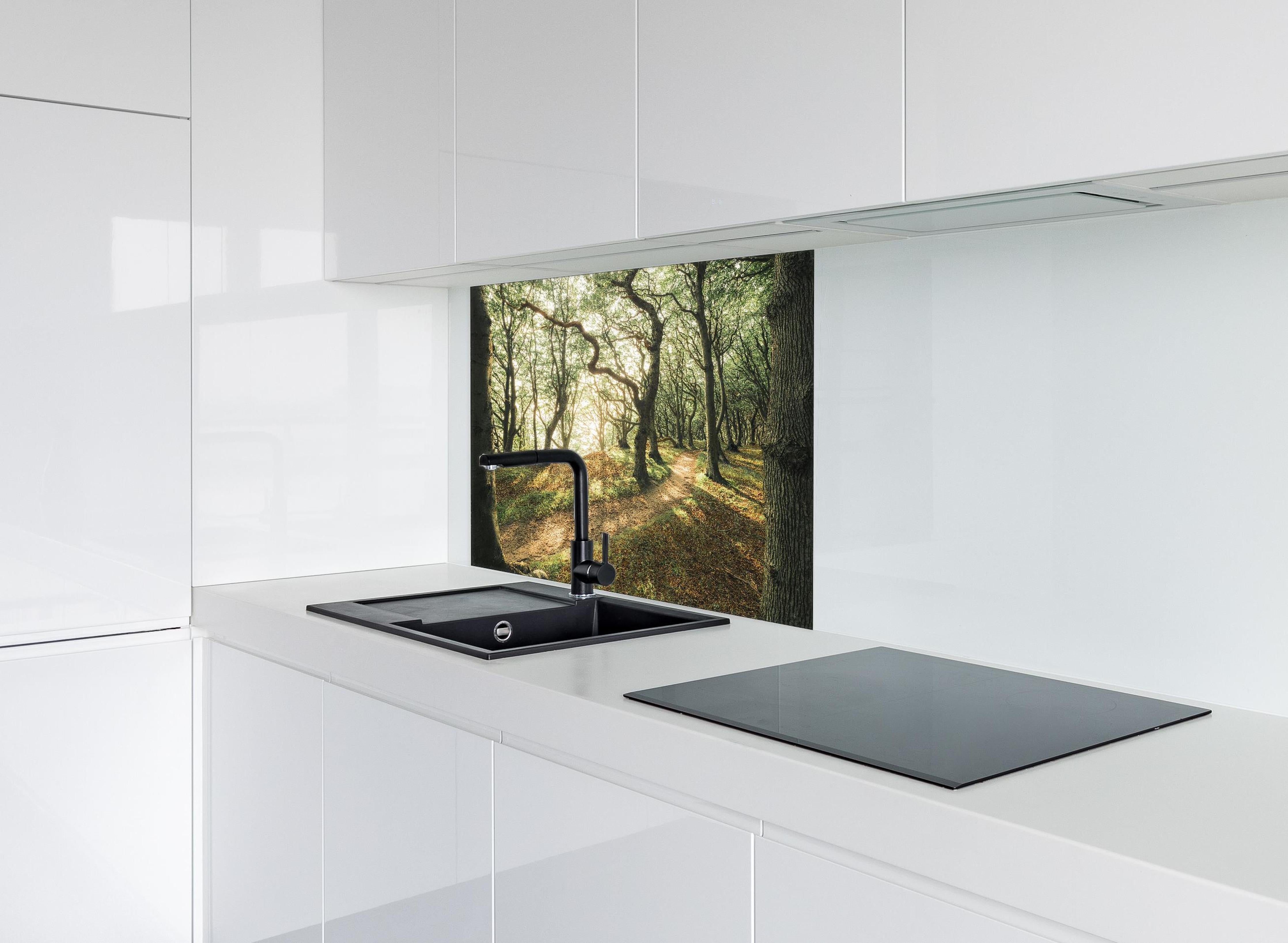 Spritzschutz - Sonnenstrahlen im Waldweg hinter einem Cerankochfeld zwischen Holz-Kochutensilien