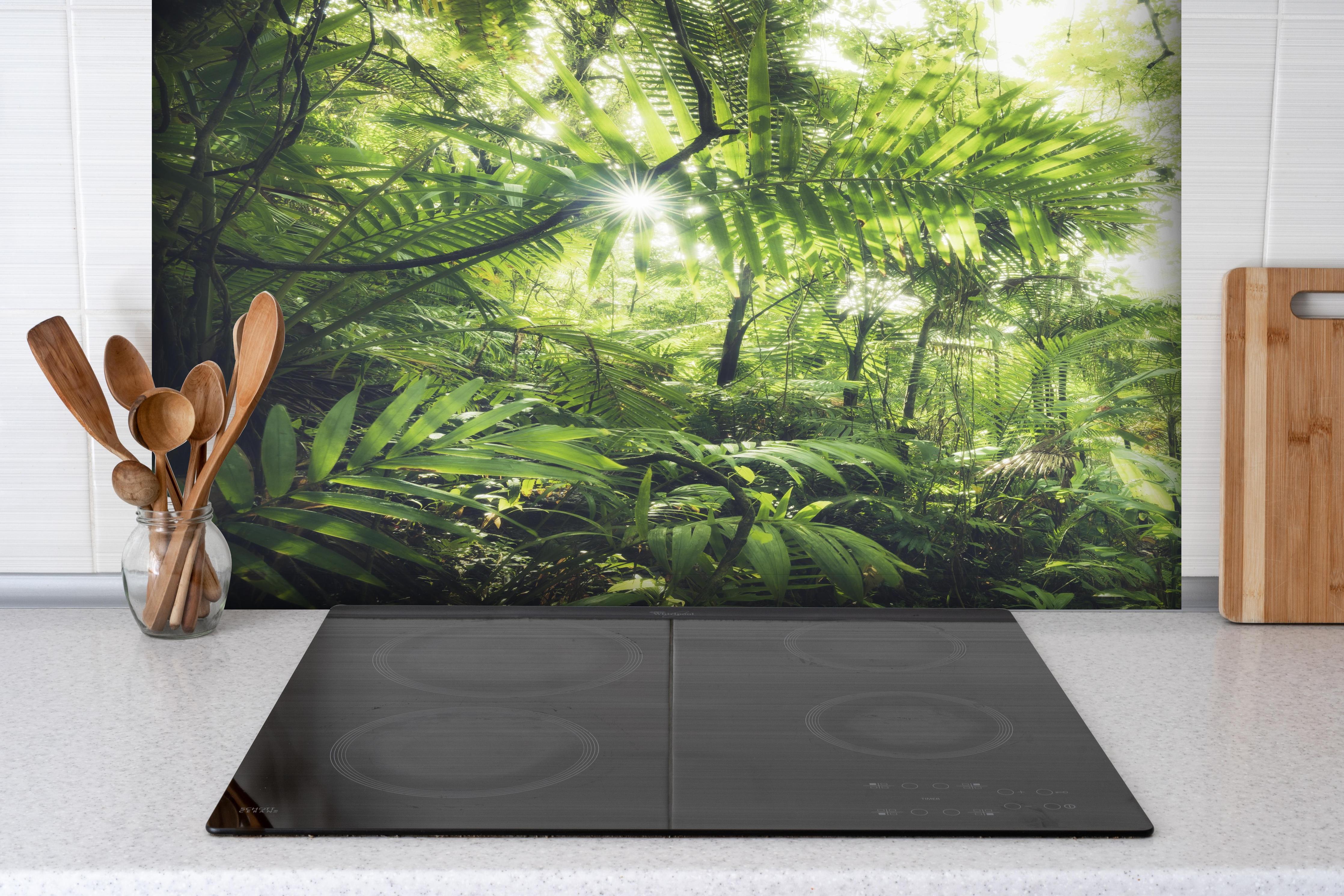 Spritzschutz - Sonnenstrahlen im grünen Regenwald hinter einem Cerankochfeld zwischen Holz-Kochutensilien