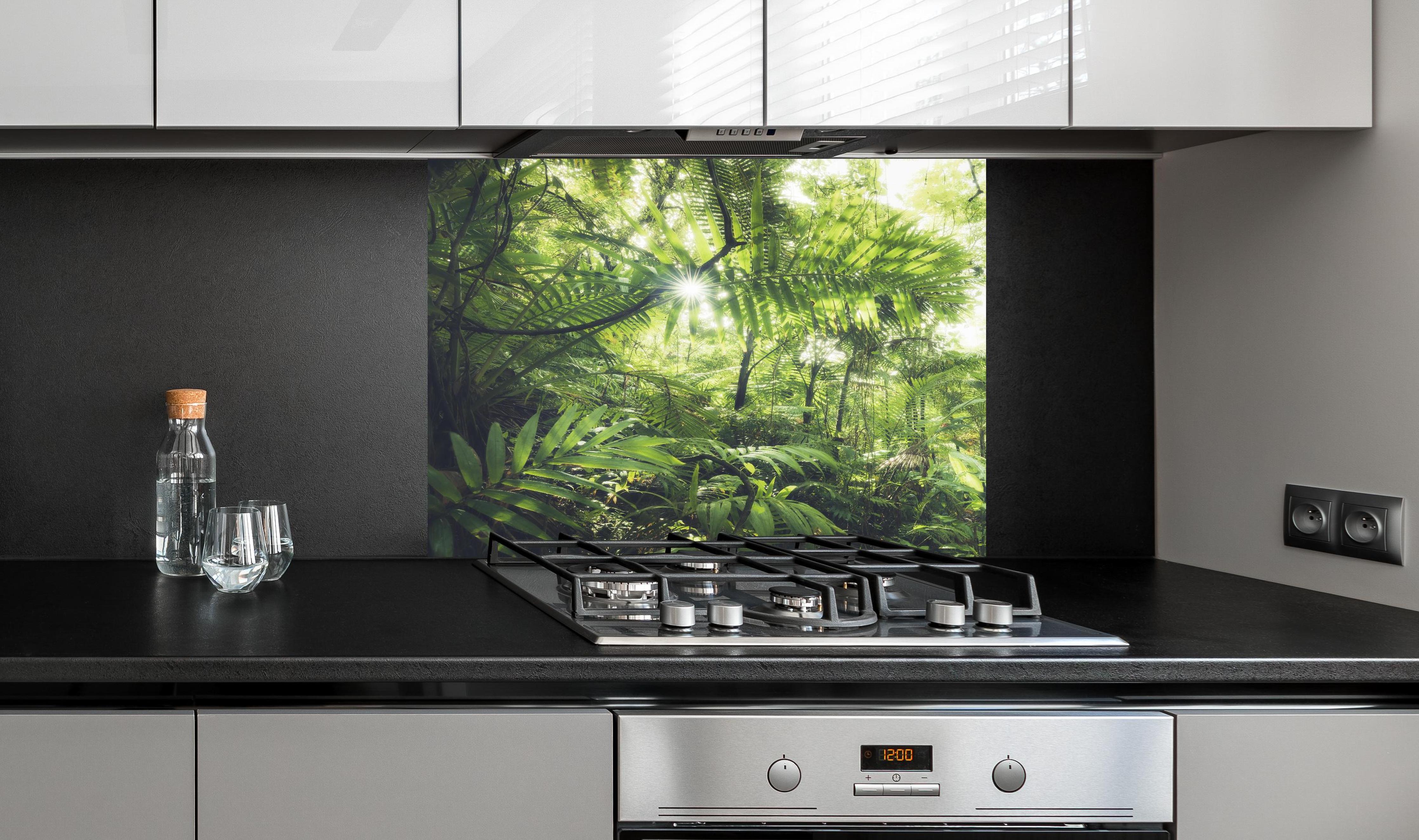 Spritzschutz - Sonnenstrahlen im grünen Regenwald hinter einem Cerankochfeld zwischen Holz-Kochutensilien