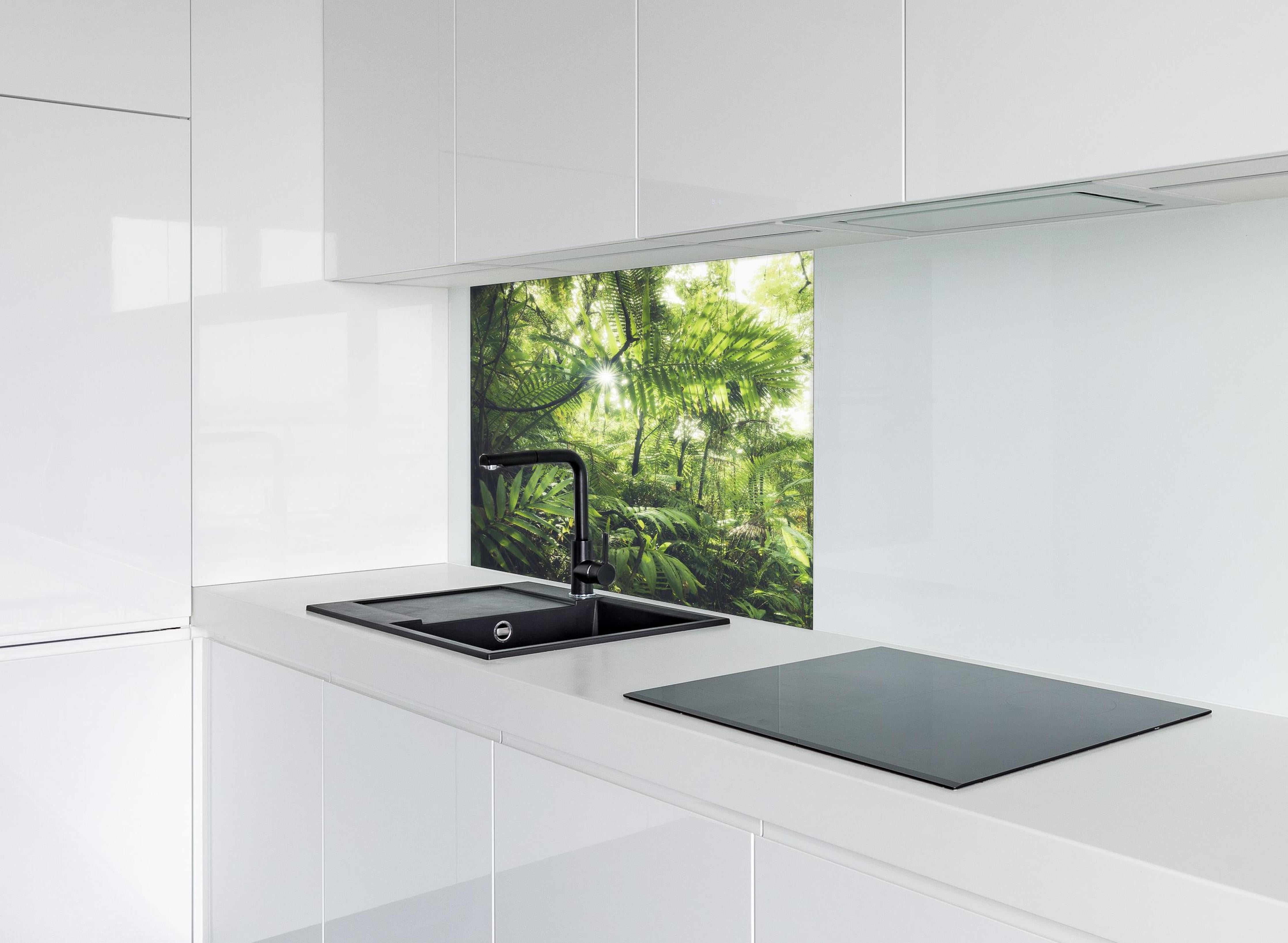 Spritzschutz - Sonnenstrahlen im grünen Regenwald hinter einem Cerankochfeld zwischen Holz-Kochutensilien