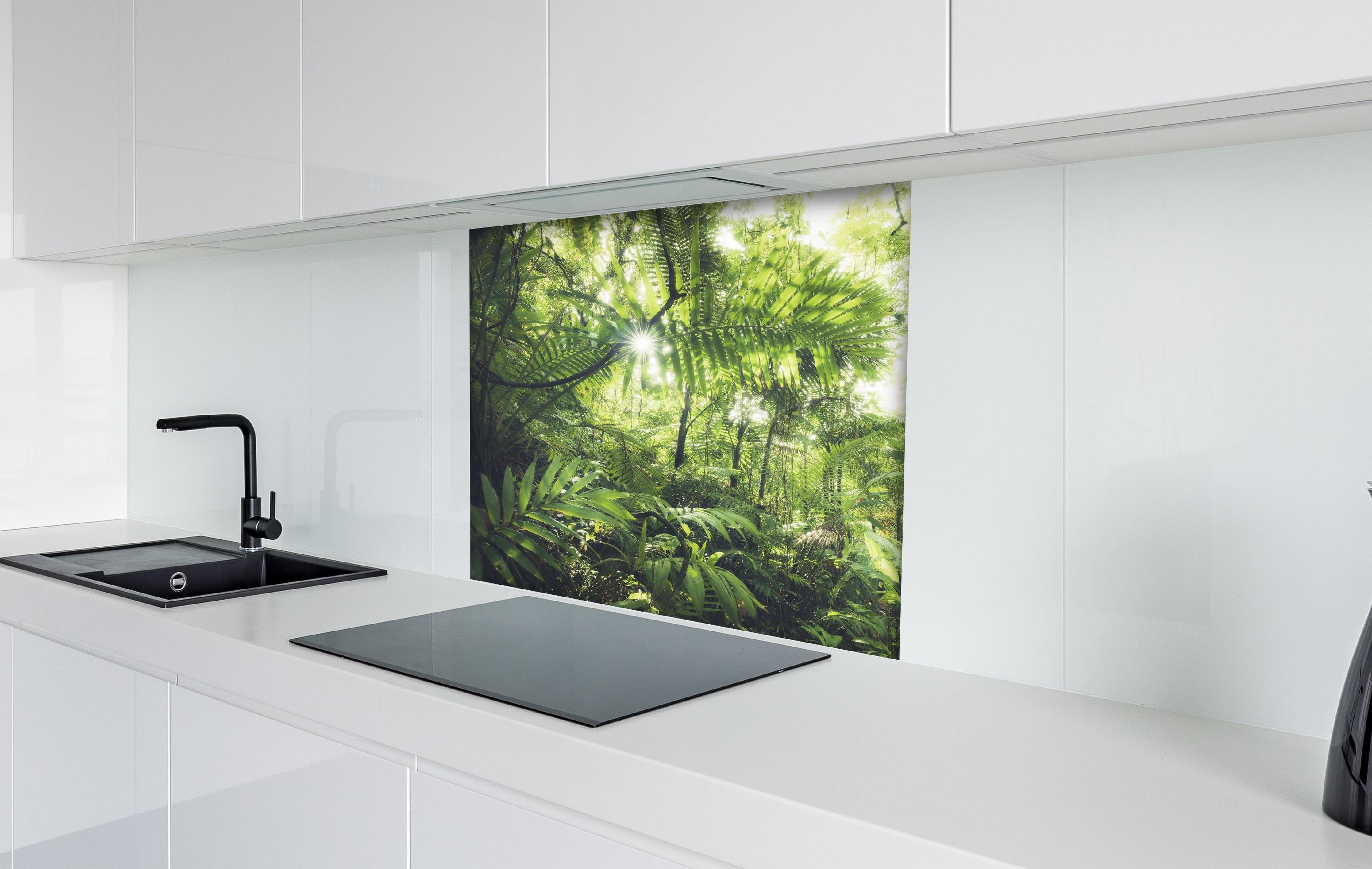 Spritzschutz - Sonnenstrahlen im grünen Regenwald hinter einem Cerankochfeld zwischen Holz-Kochutensilien