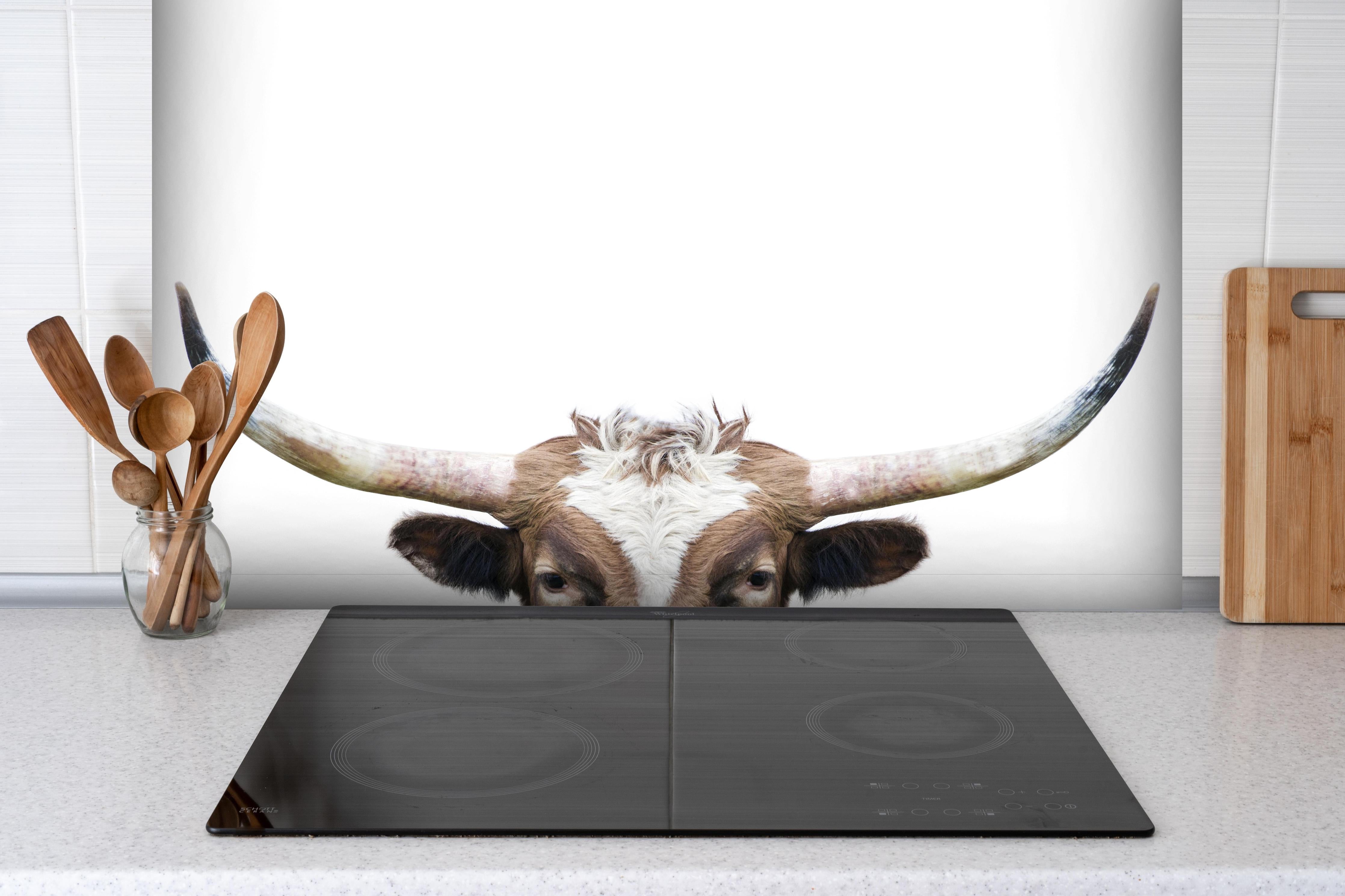 Spritzschutz - Spähende Longhorn-Kuh hinter einem Cerankochfeld zwischen Holz-Kochutensilien