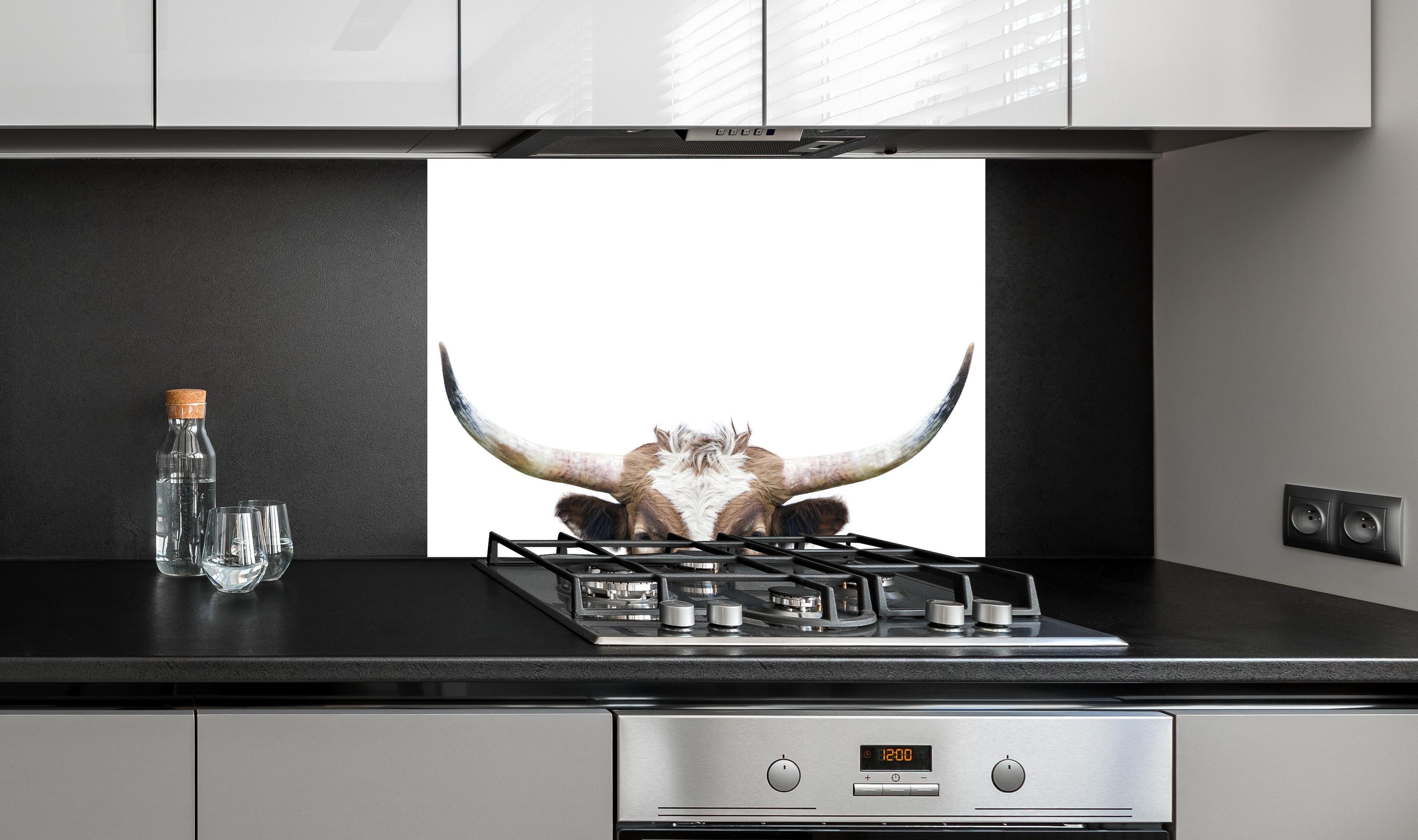 Spritzschutz - Spähende Longhorn-Kuh hinter einem Cerankochfeld zwischen Holz-Kochutensilien