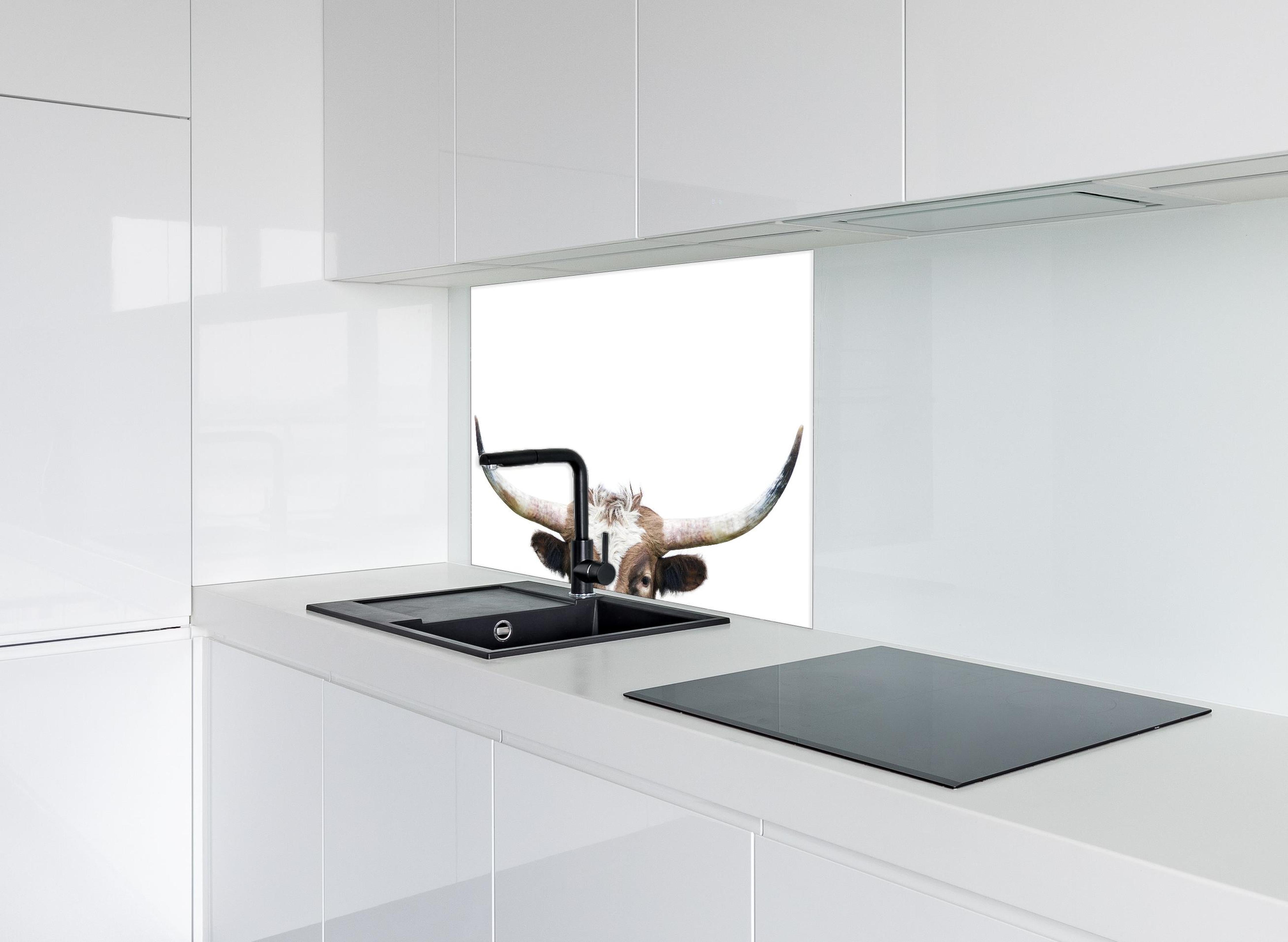 Spritzschutz - Spähende Longhorn-Kuh hinter einem Cerankochfeld zwischen Holz-Kochutensilien